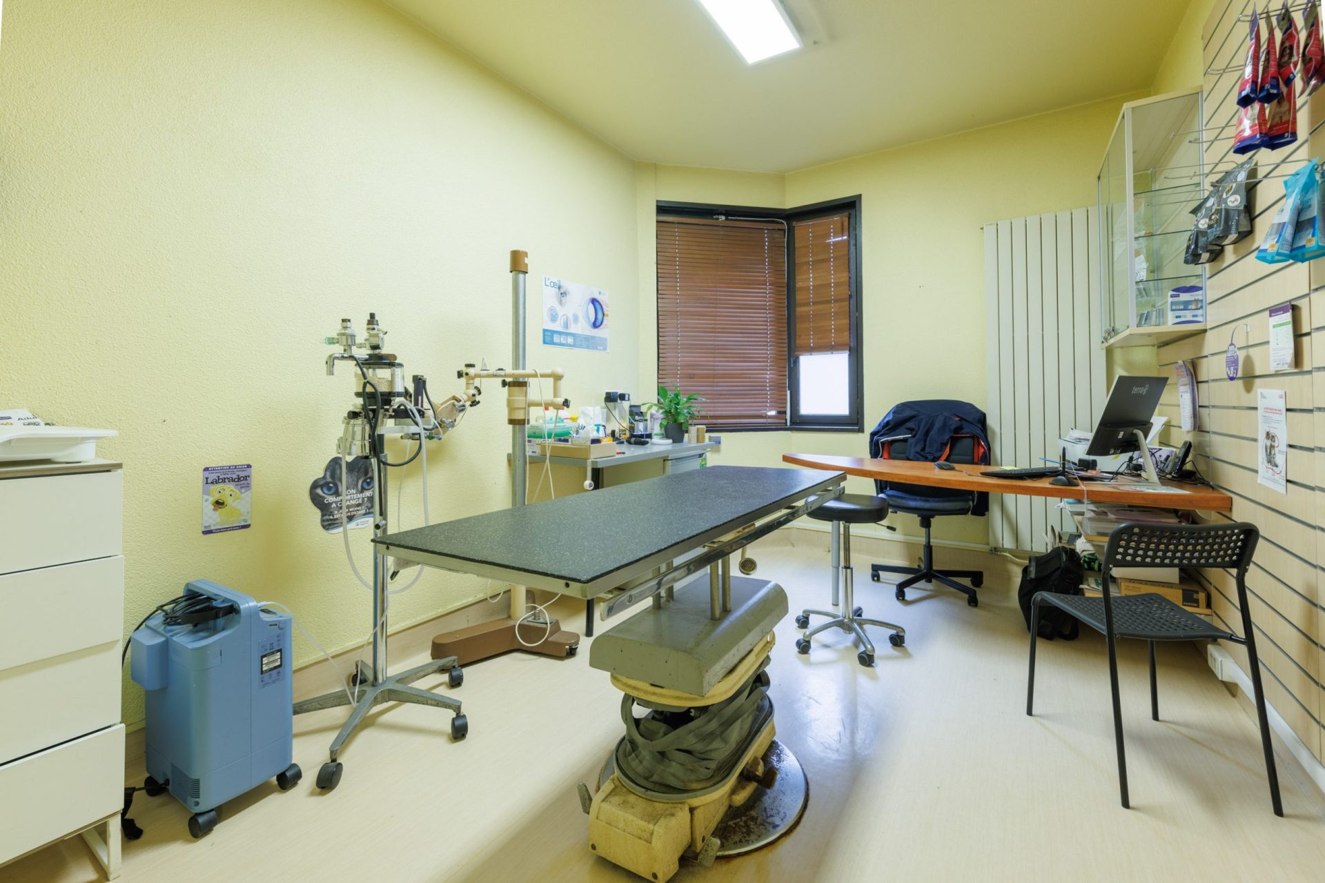 cliniqueveterinairedechampradet clermont ferrand 16