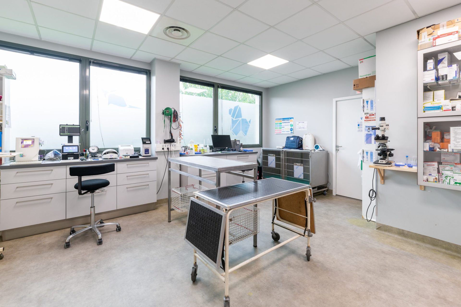 cliniqueveterinairedechaponnay chaponnay 10