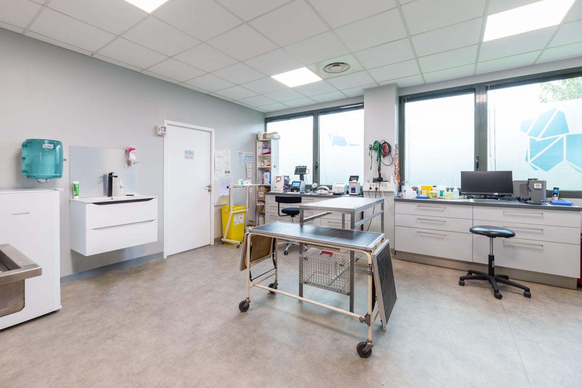 cliniqueveterinairedechaponnay chaponnay 9