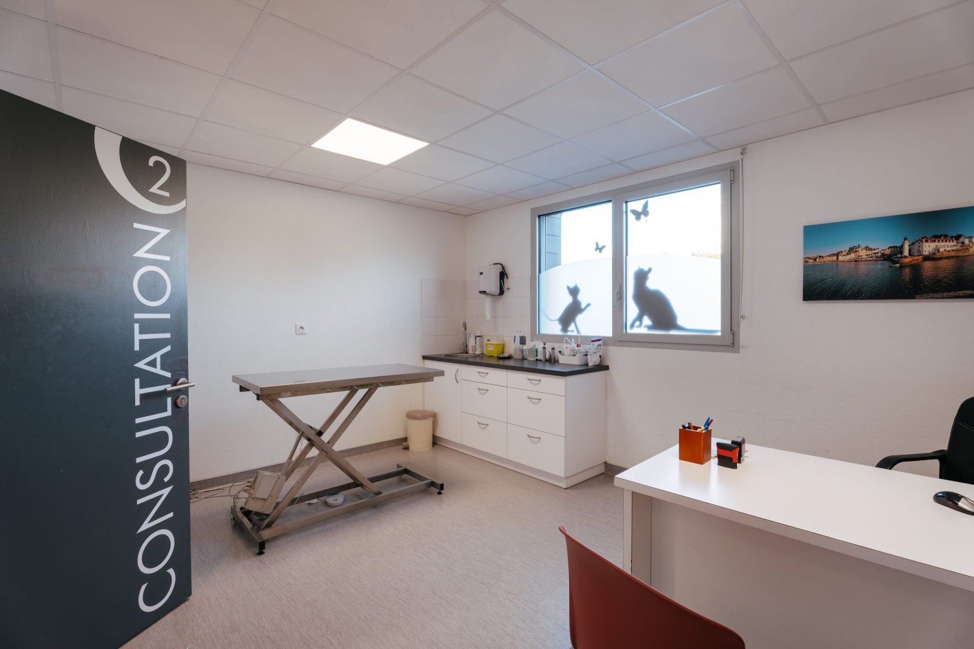 cliniqueveterinairedekerniol vannes 29