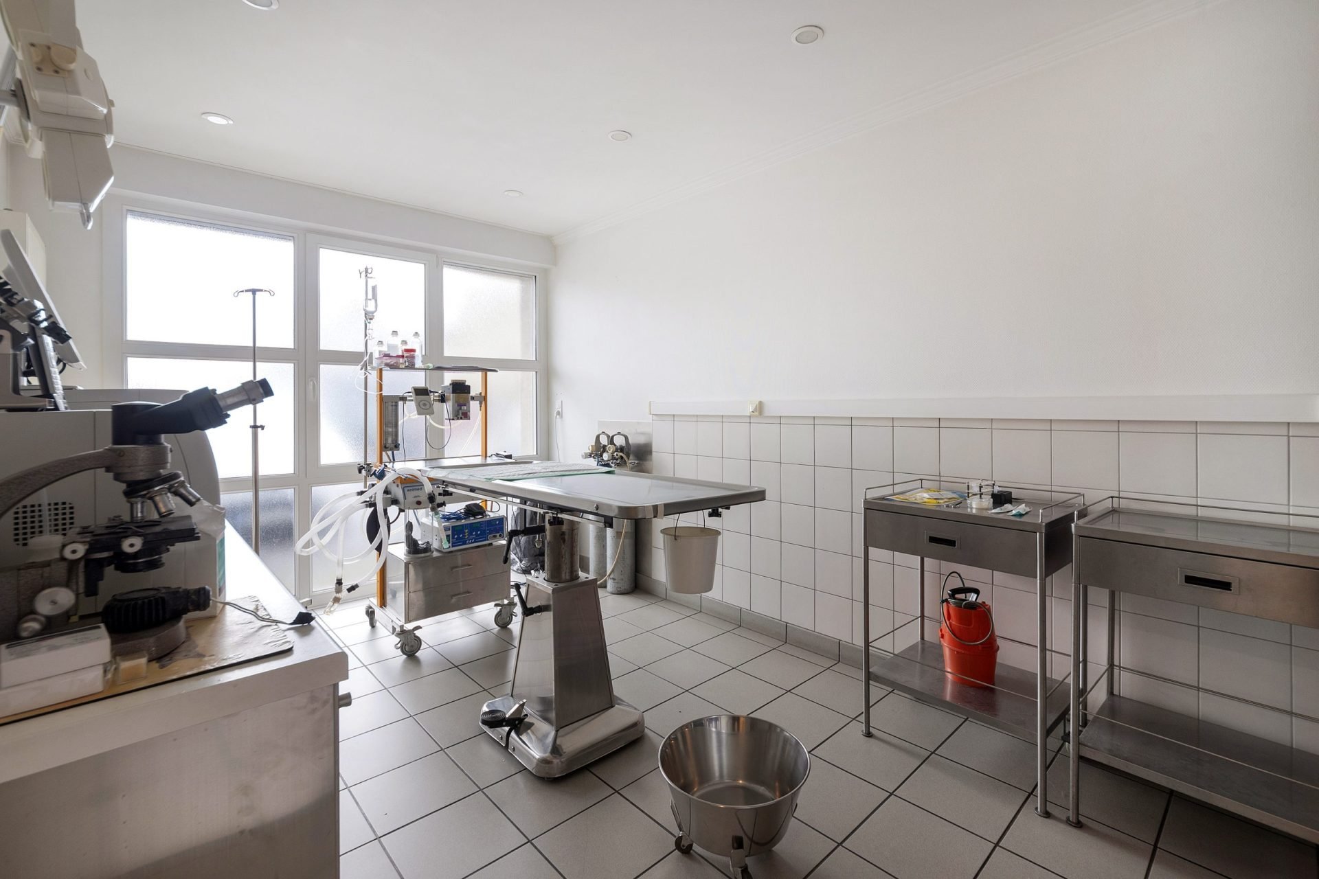 cliniqueveterinairedel etoile saintegenevievedesbois 6