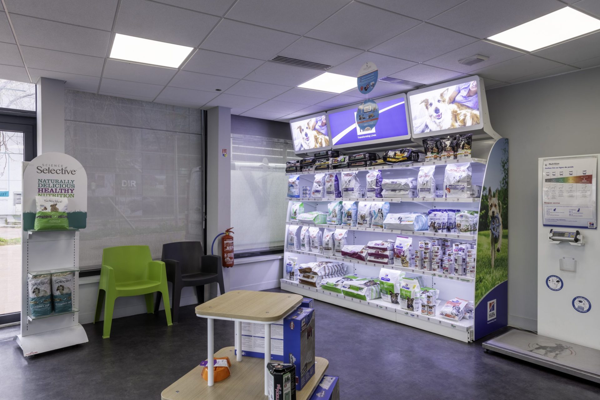 cliniqueveterinairedel europe rouen 10