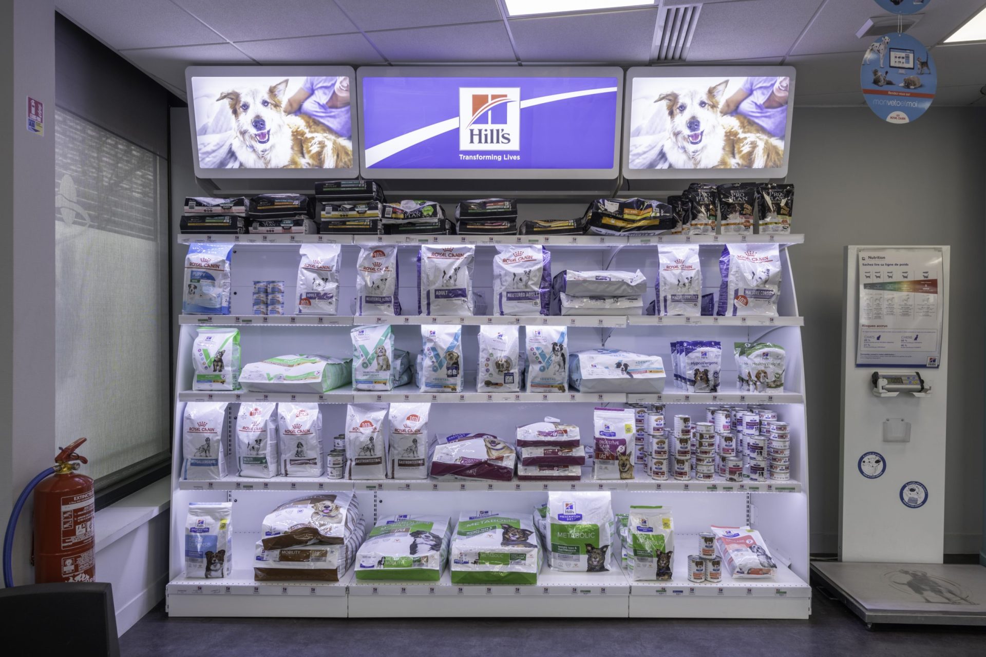 cliniqueveterinairedel europe rouen 11