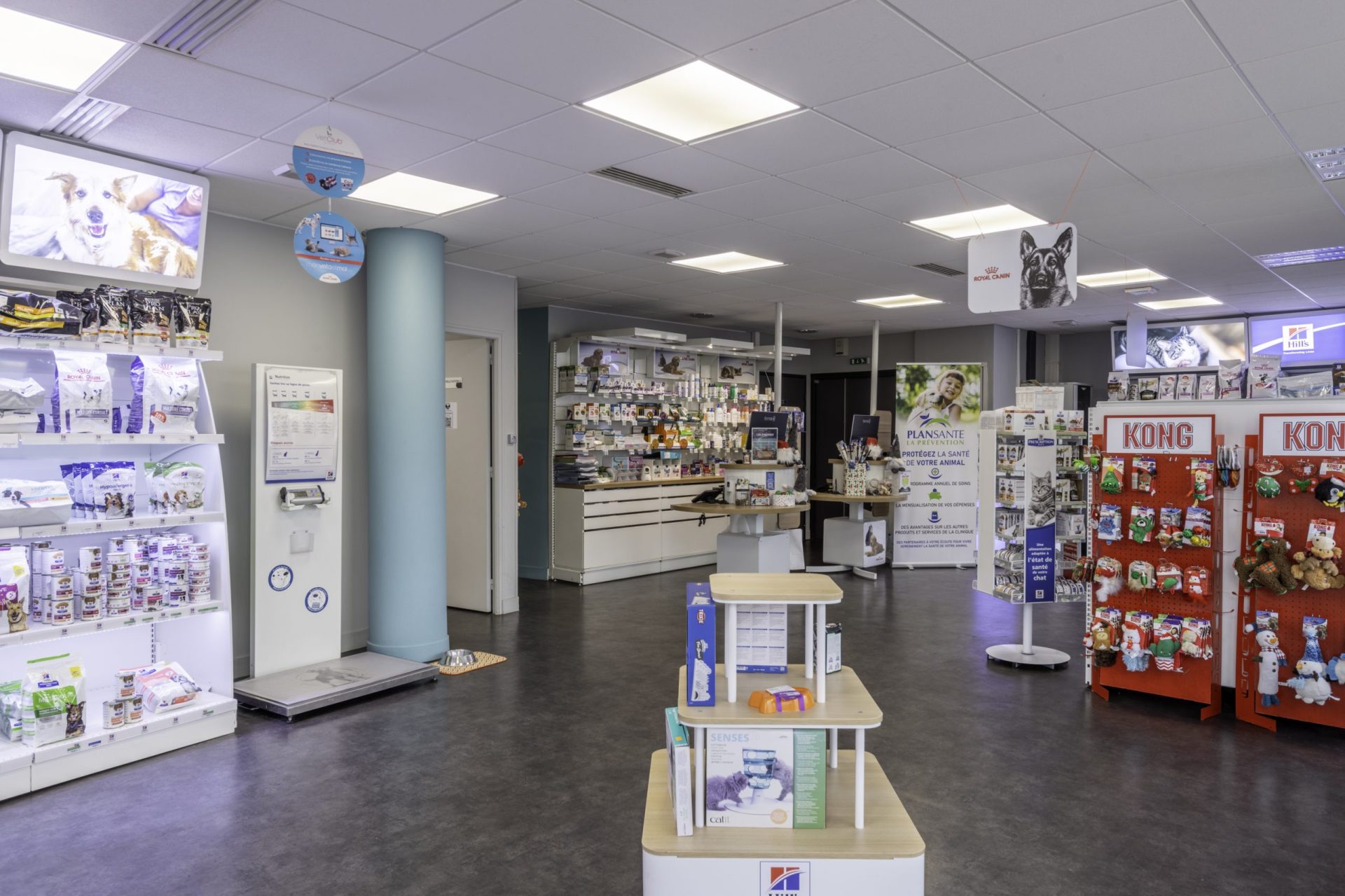 cliniqueveterinairedel europe rouen 12