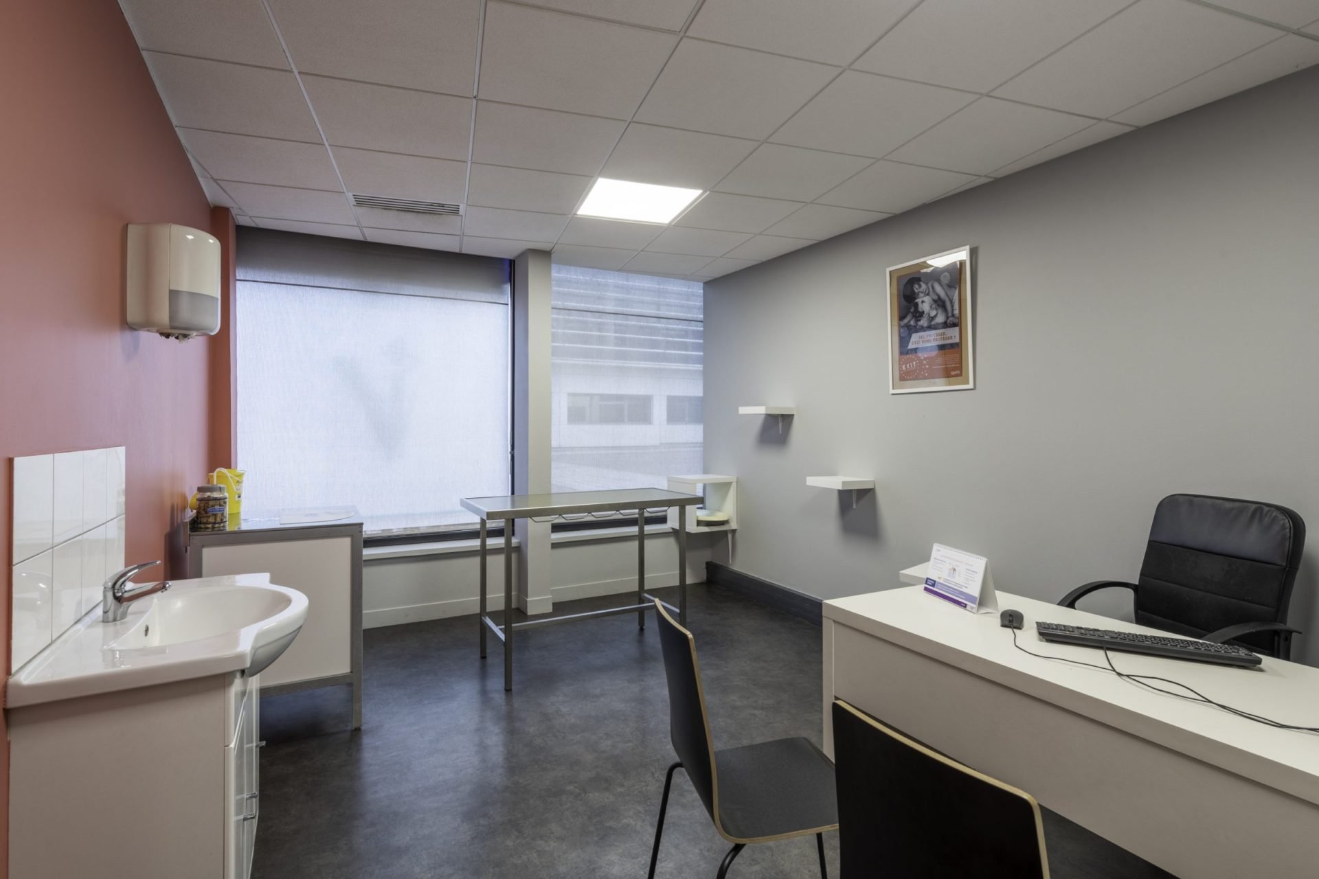 cliniqueveterinairedel europe rouen 15