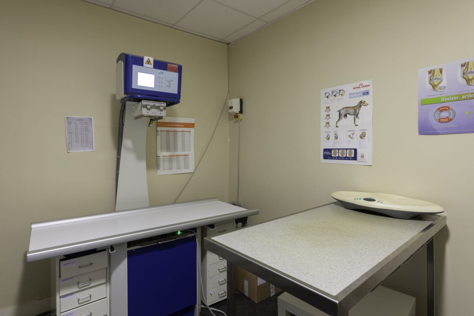 cliniqueveterinairedel europe rouen 17