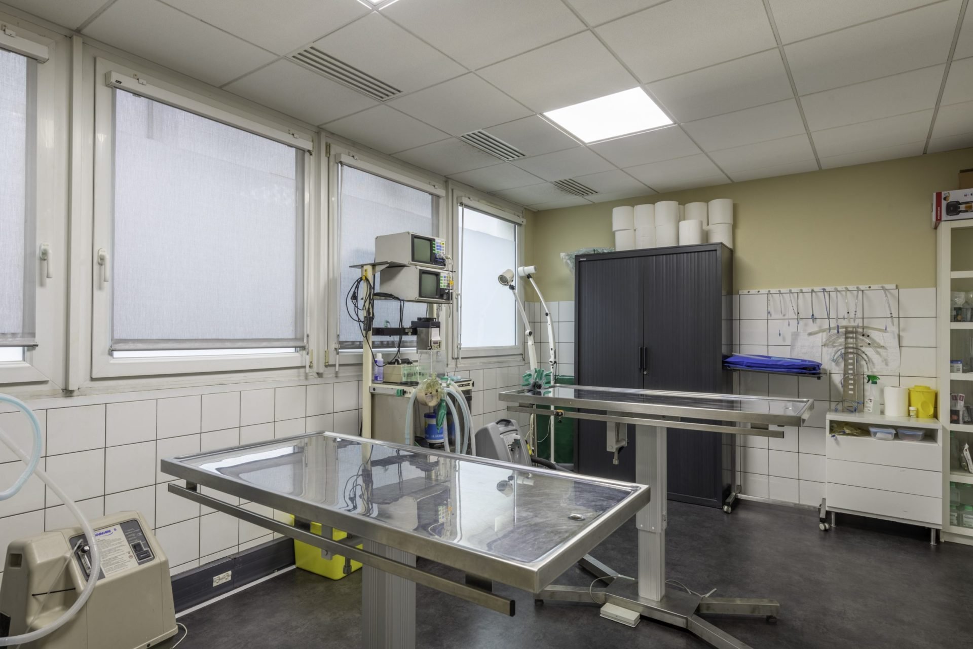 cliniqueveterinairedel europe rouen 18