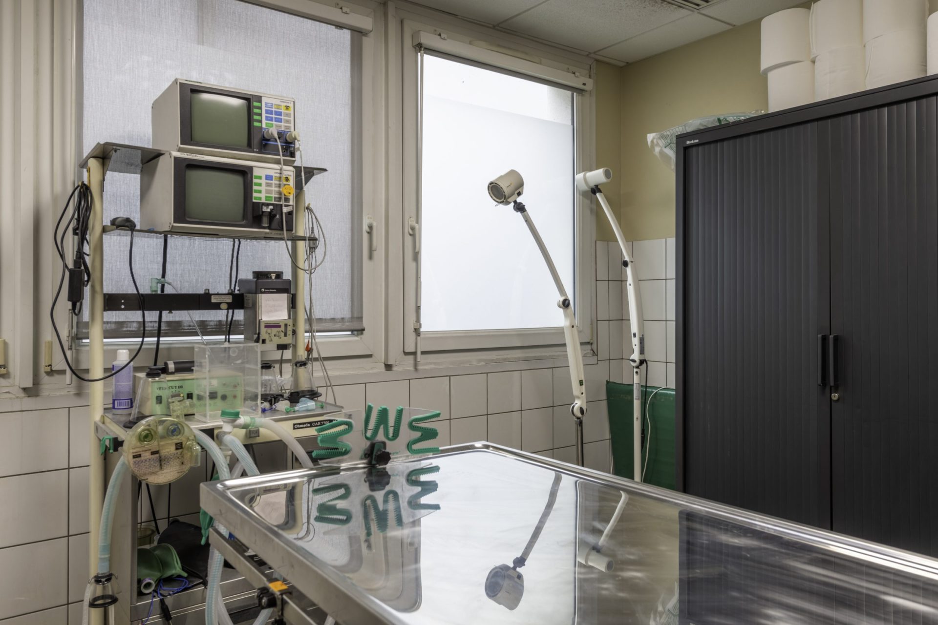 cliniqueveterinairedel europe rouen 19