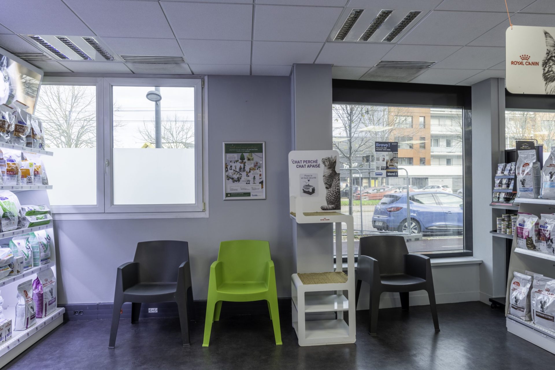 cliniqueveterinairedel europe rouen 9