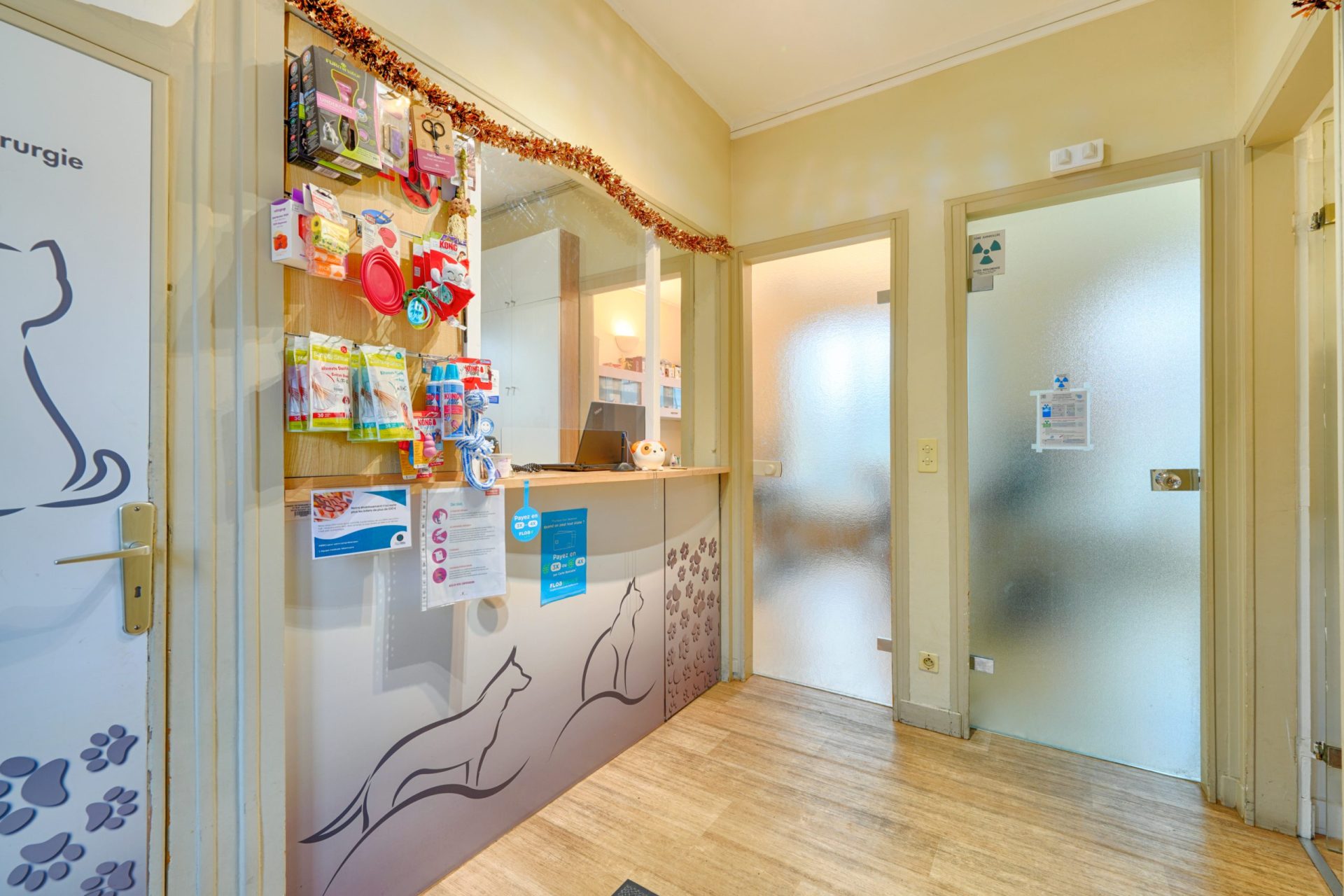 cliniqueveterinairedenogentsurmarne nogentsurmarne 12
