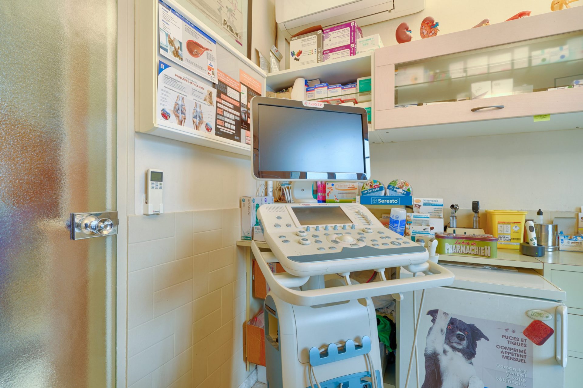 cliniqueveterinairedenogentsurmarne nogentsurmarne 13