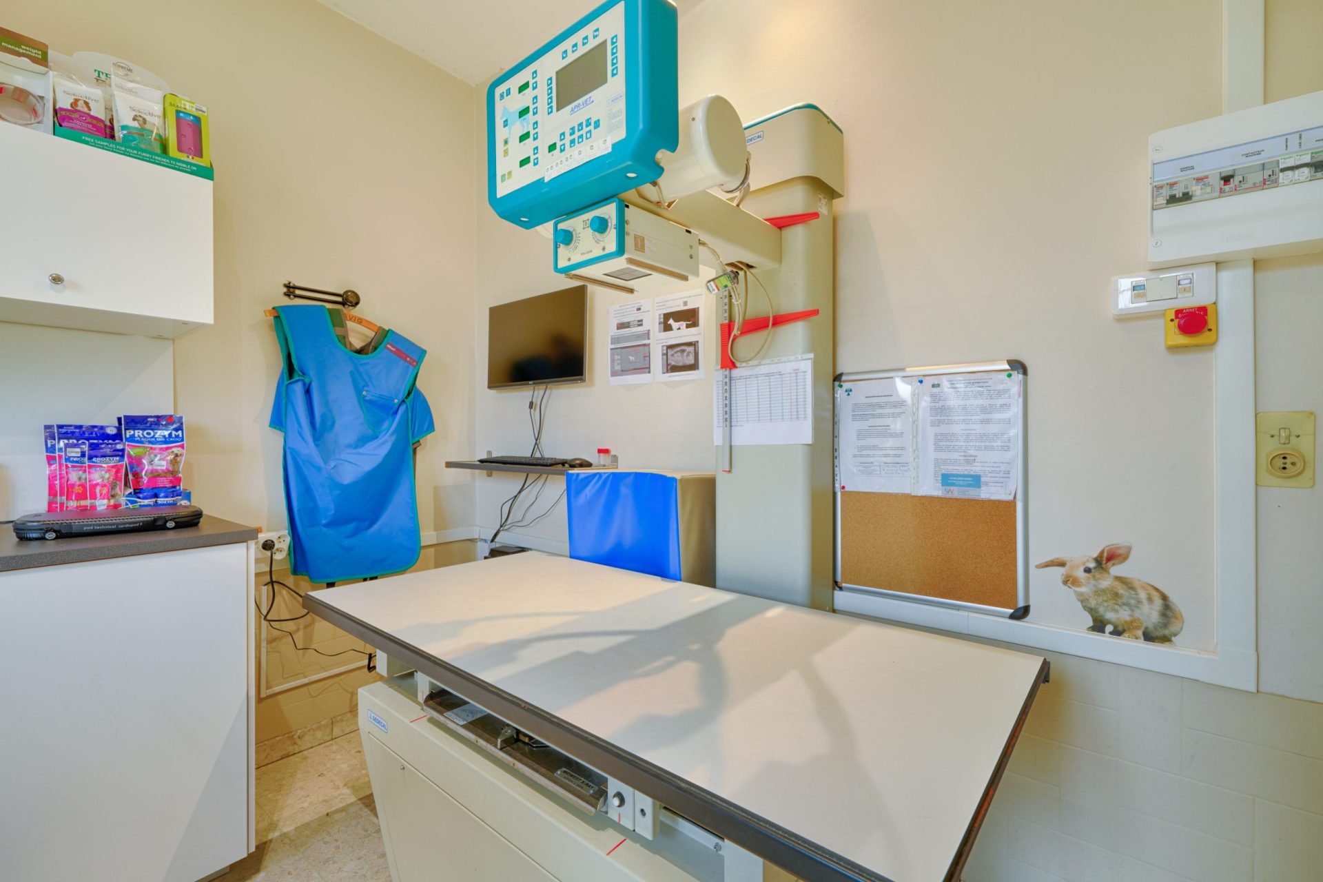 cliniqueveterinairedenogentsurmarne nogentsurmarne 14