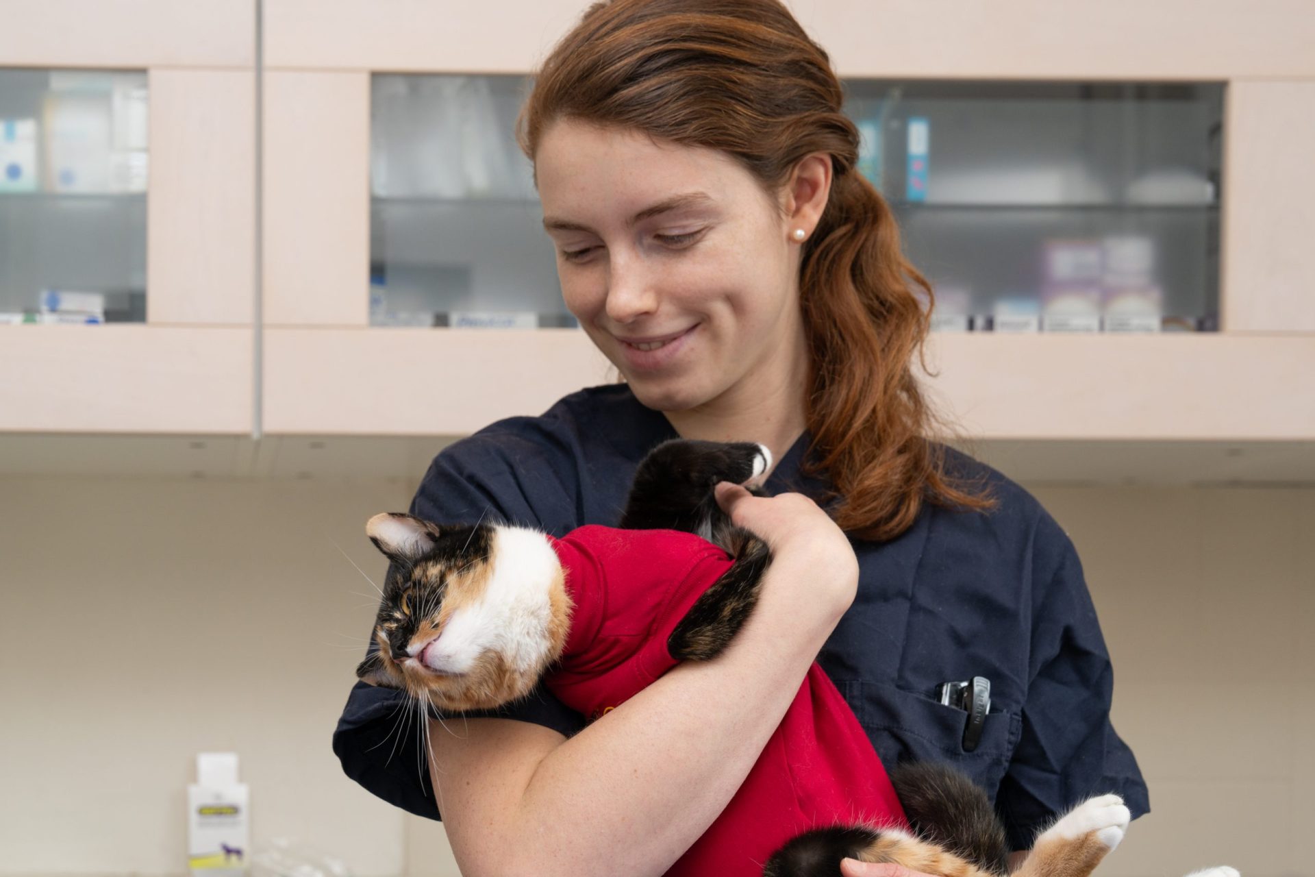 cliniqueveterinairedenogentsurmarne nogentsurmarne 16