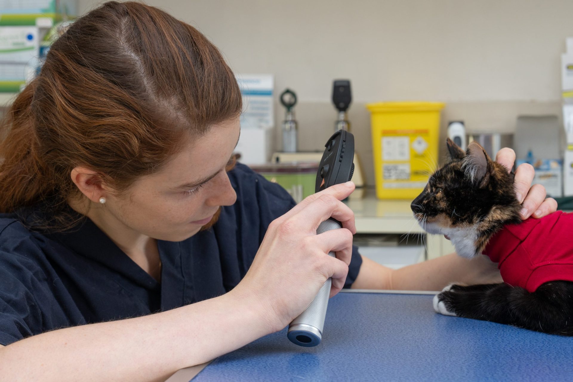 cliniqueveterinairedenogentsurmarne nogentsurmarne 22
