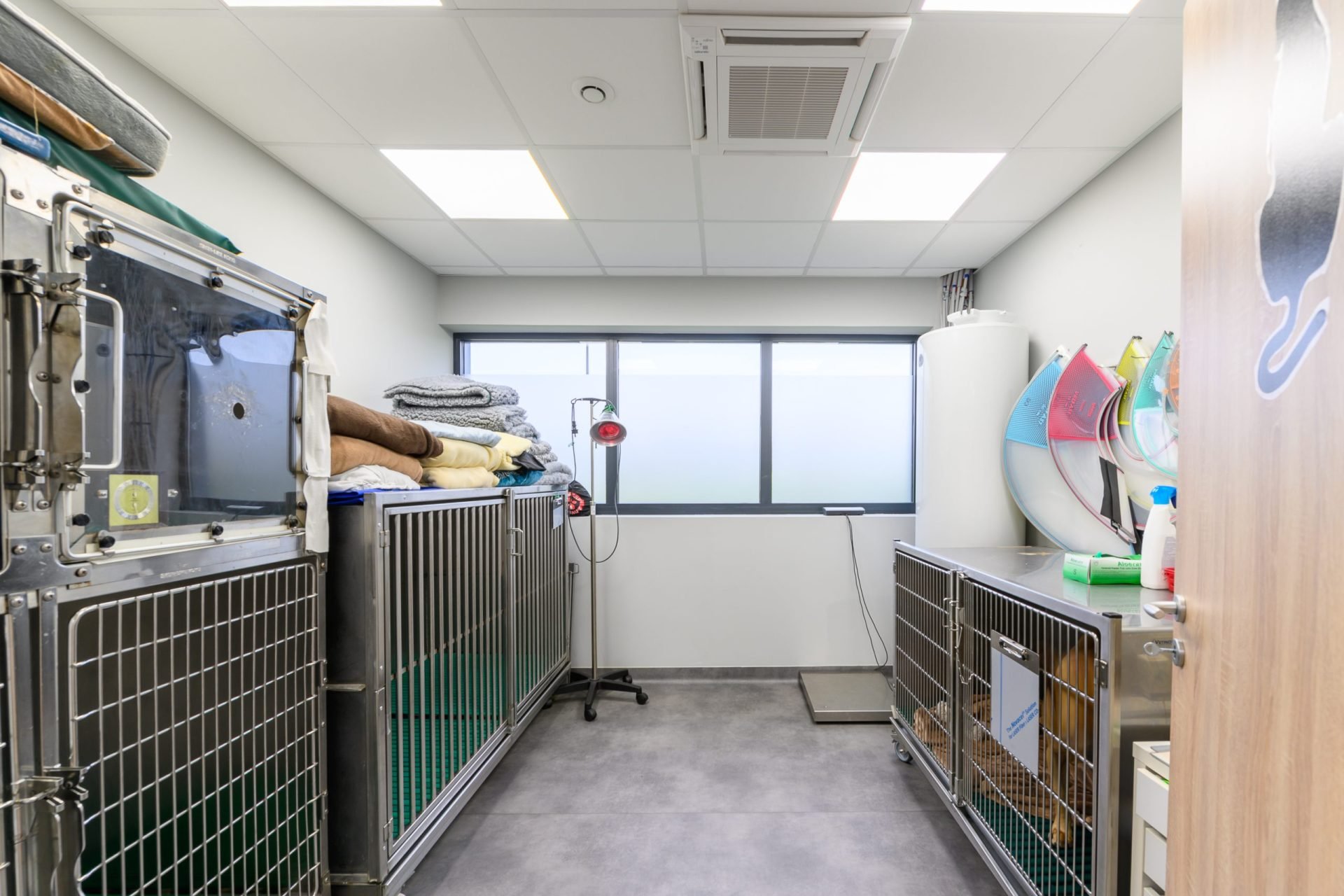 cliniqueveterinairedesaint mard saintmard 13