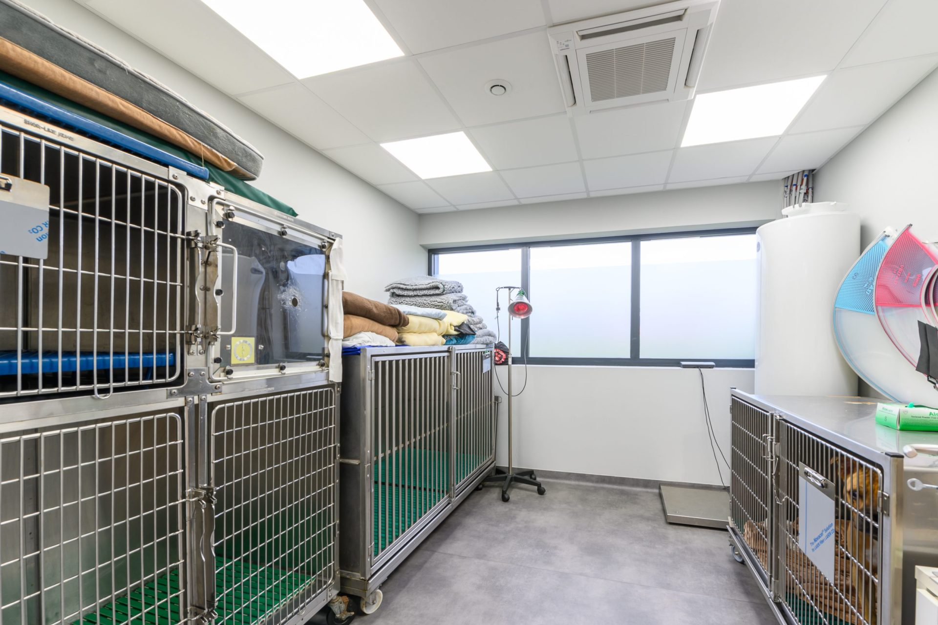 cliniqueveterinairedesaint mard saintmard 14