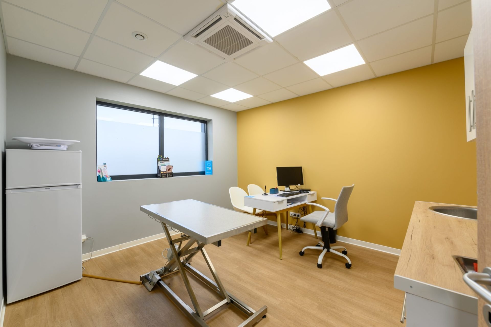 cliniqueveterinairedesaint mard saintmard 19