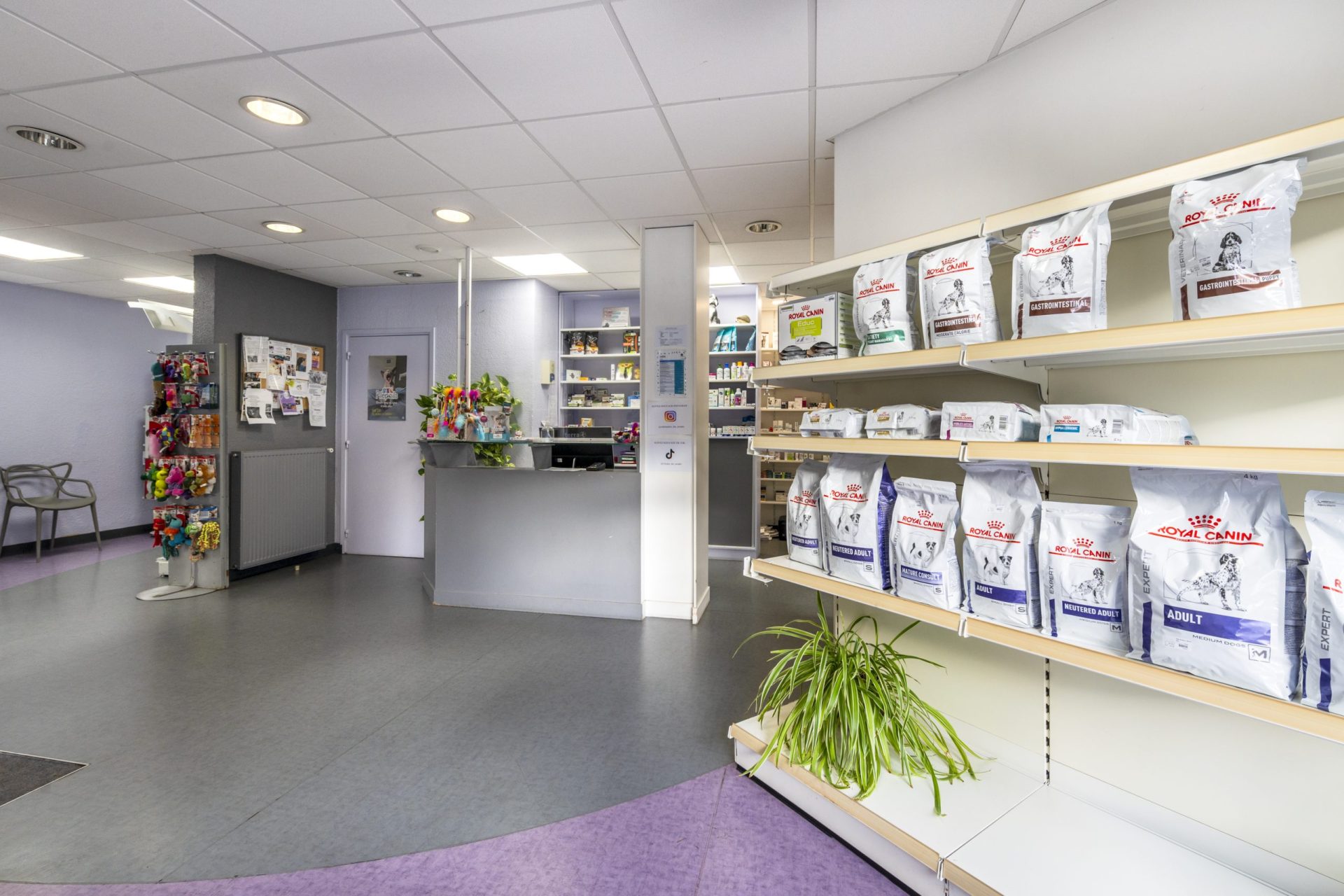 cliniqueveterinairedesarcades chatou 10