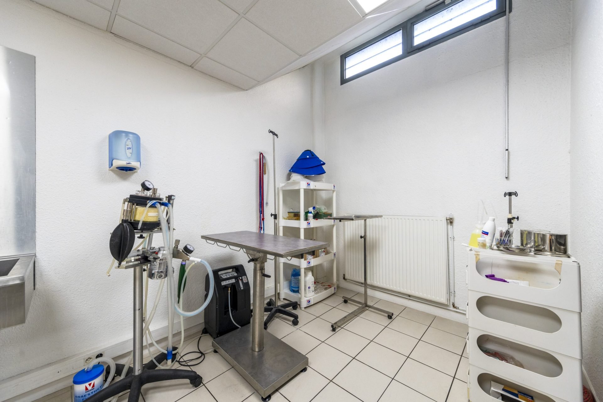 cliniqueveterinairedesarcades chatou 7
