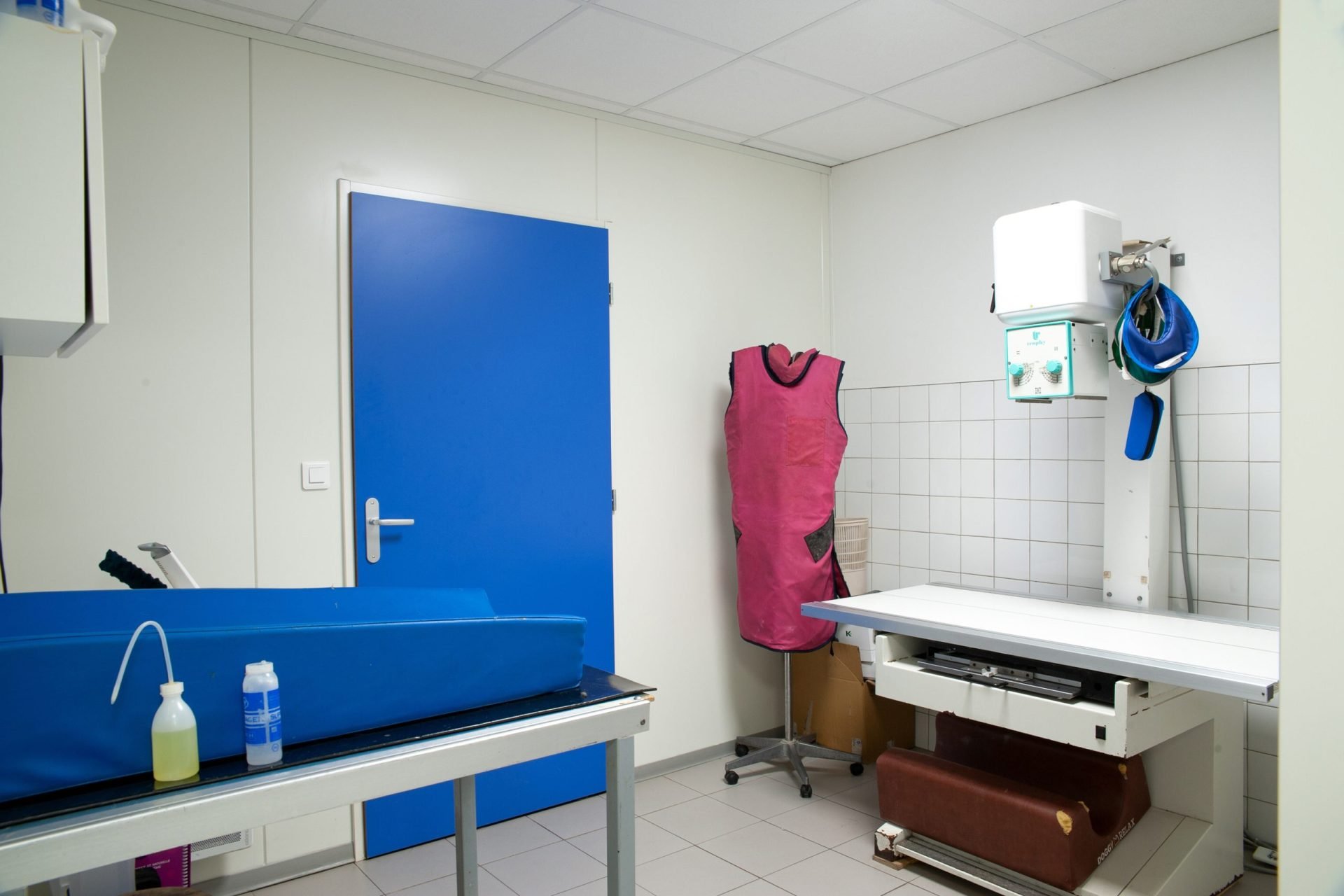 cliniqueveterinairedesbordsdel oise pont saint maxence 8