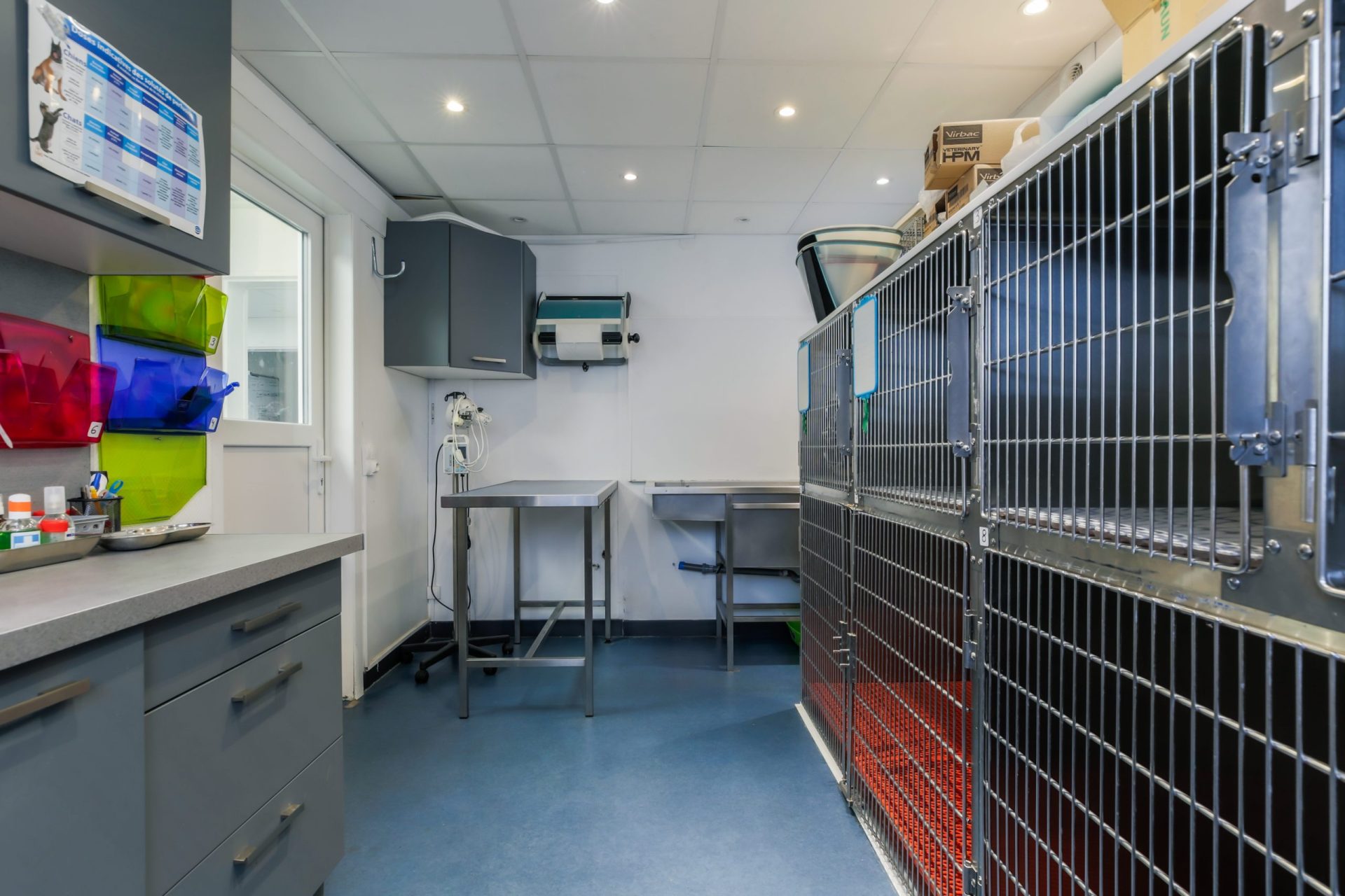 cliniqueveterinairedespoilus seremange erzange 17