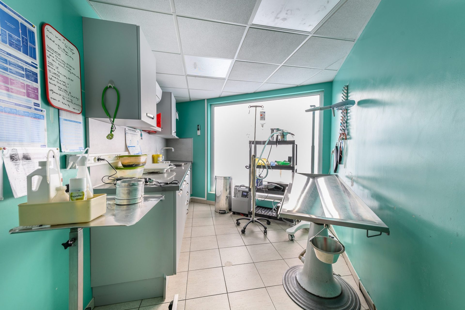 cliniqueveterinairedesvoconces vaisonlaromaine 8
