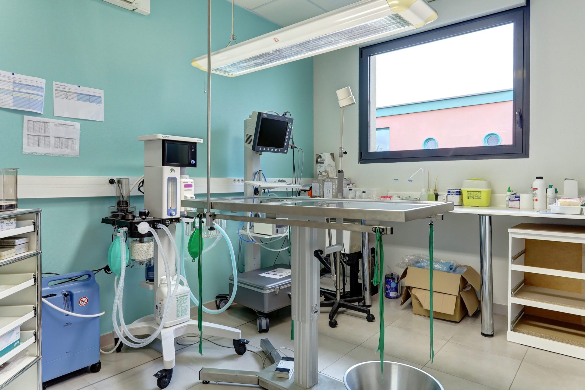 cliniqueveterinairedubac dormans 15