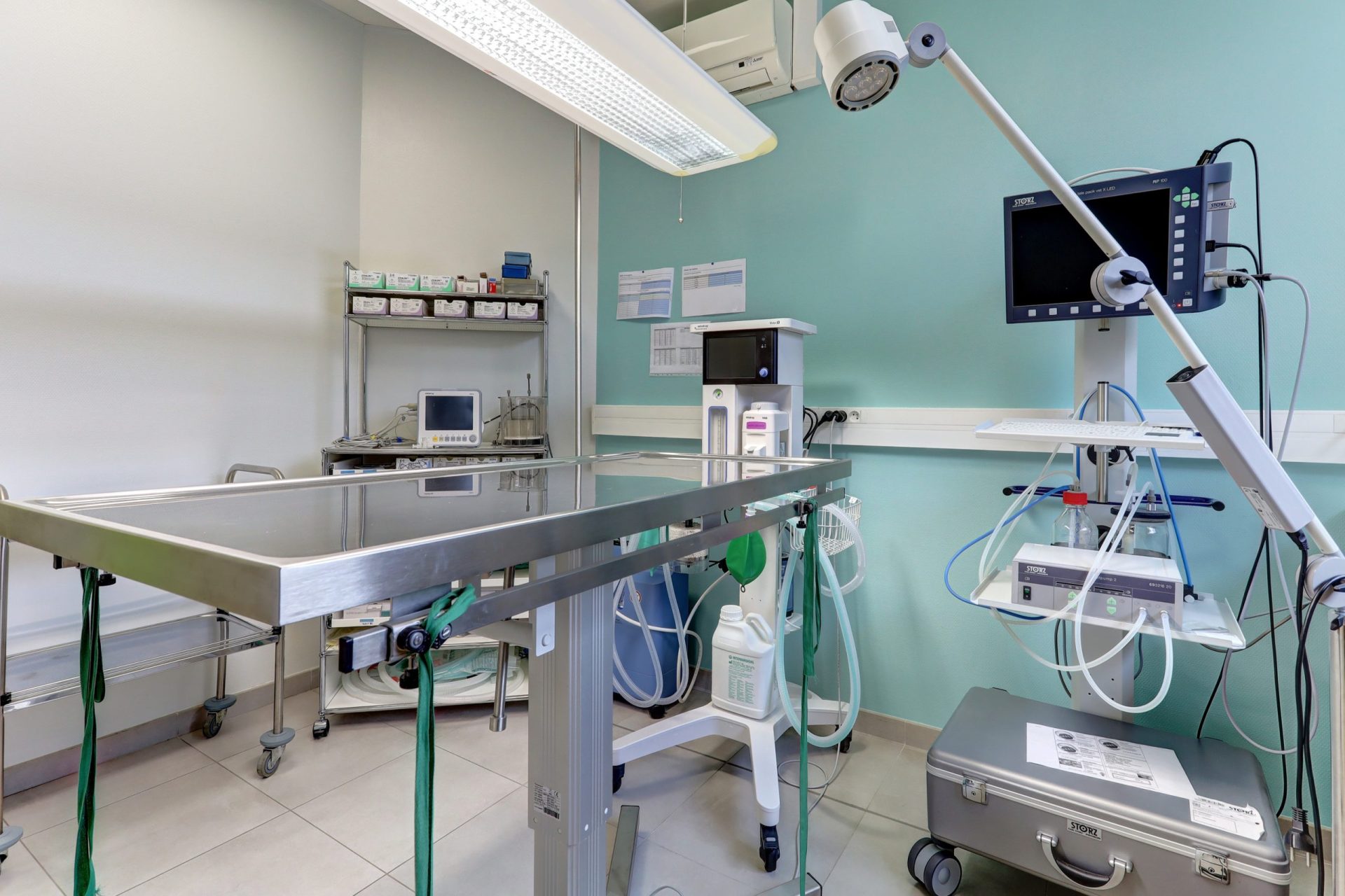 cliniqueveterinairedubac dormans 17