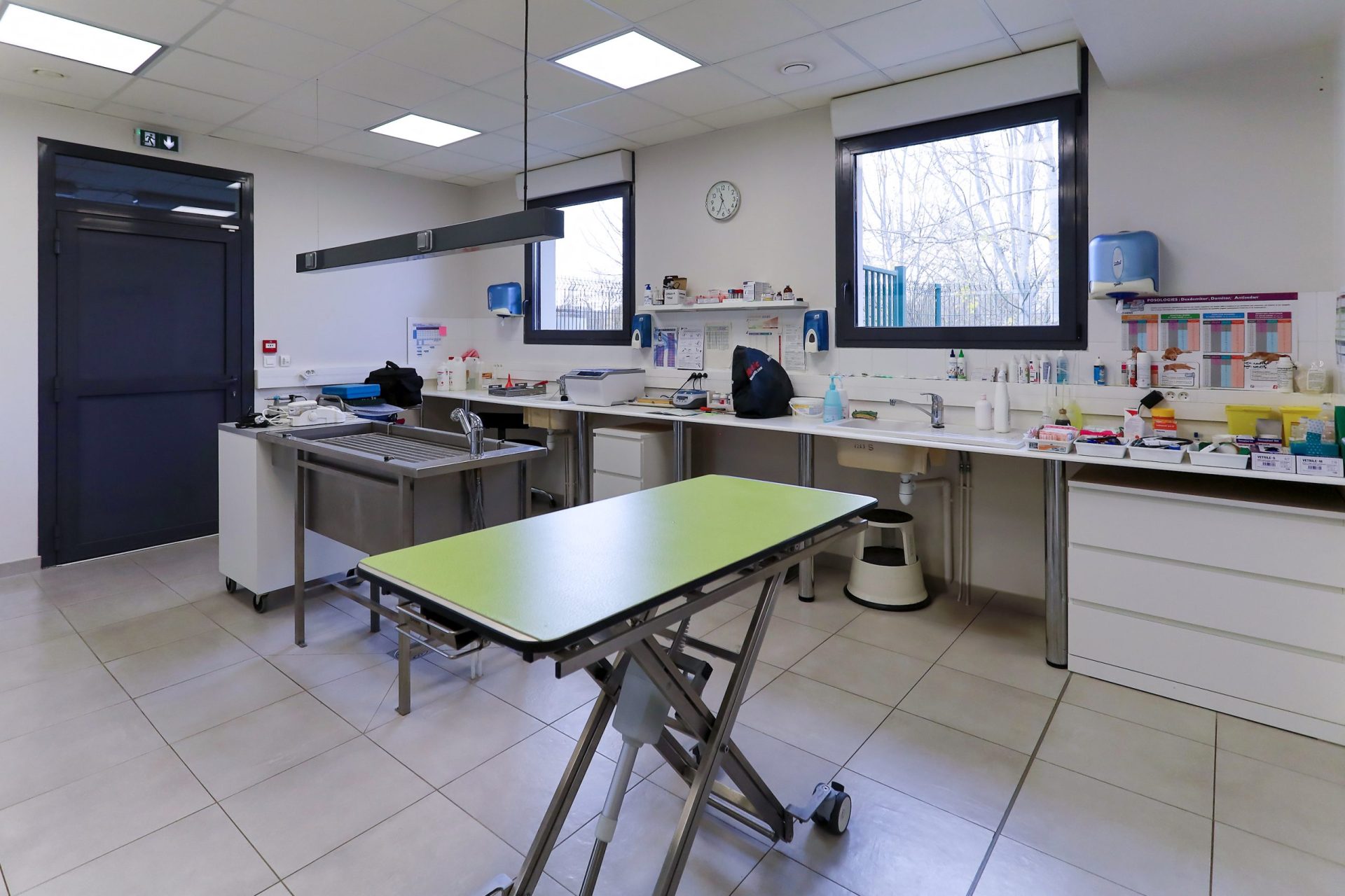 cliniqueveterinairedubac dormans 18
