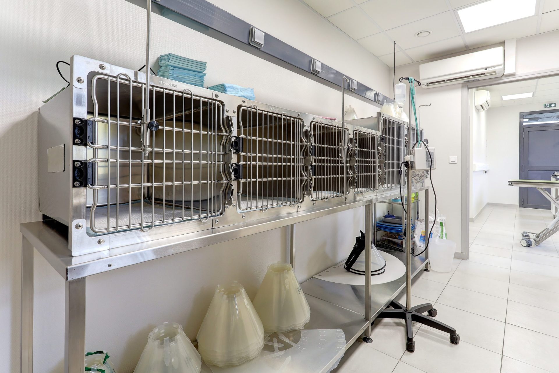 cliniqueveterinairedubac dormans 19