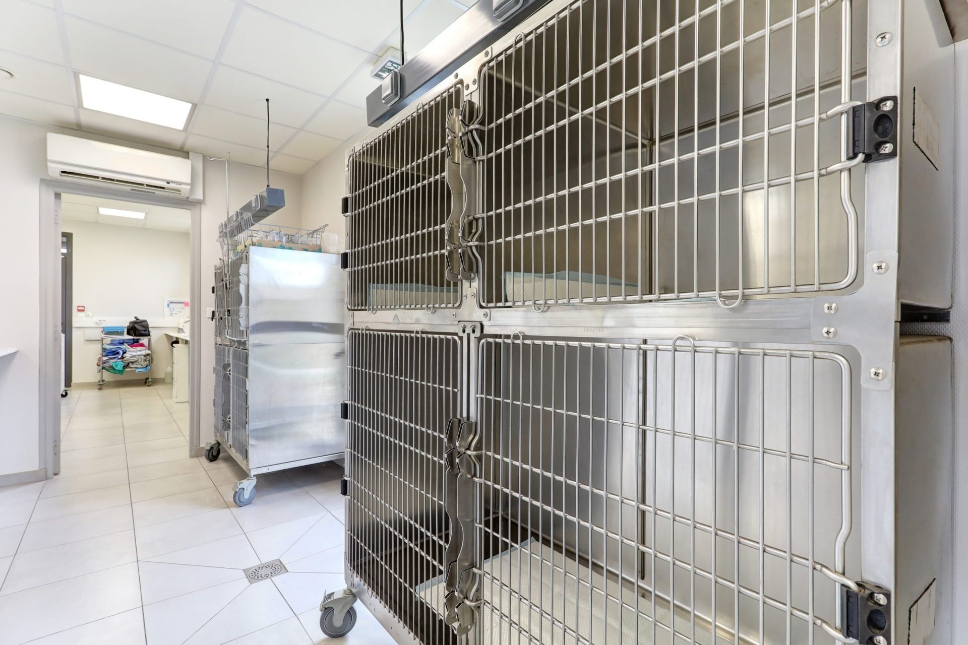 cliniqueveterinairedubac dormans 20