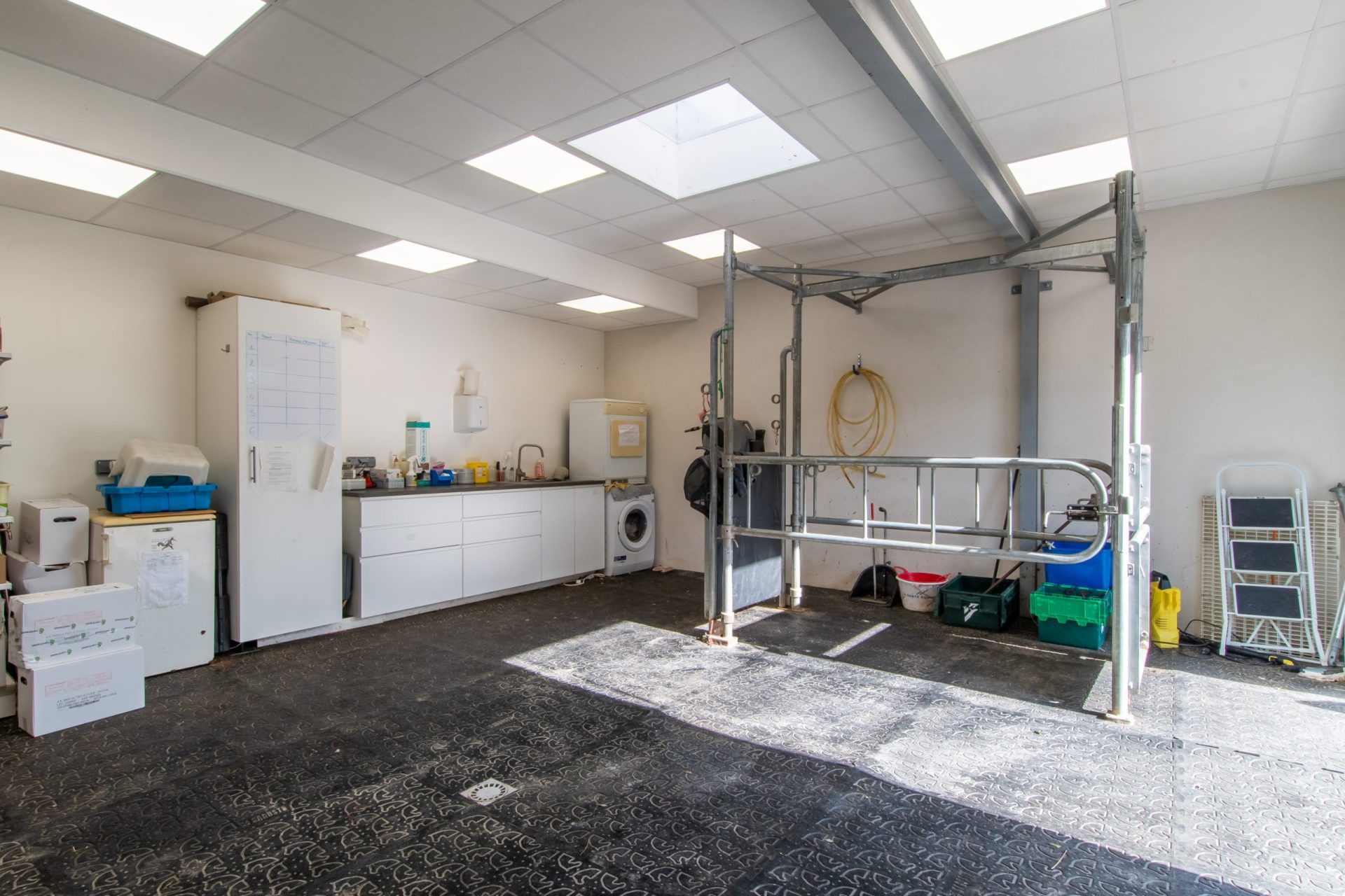 cliniqueveterinaireducapitoul lodeve 8