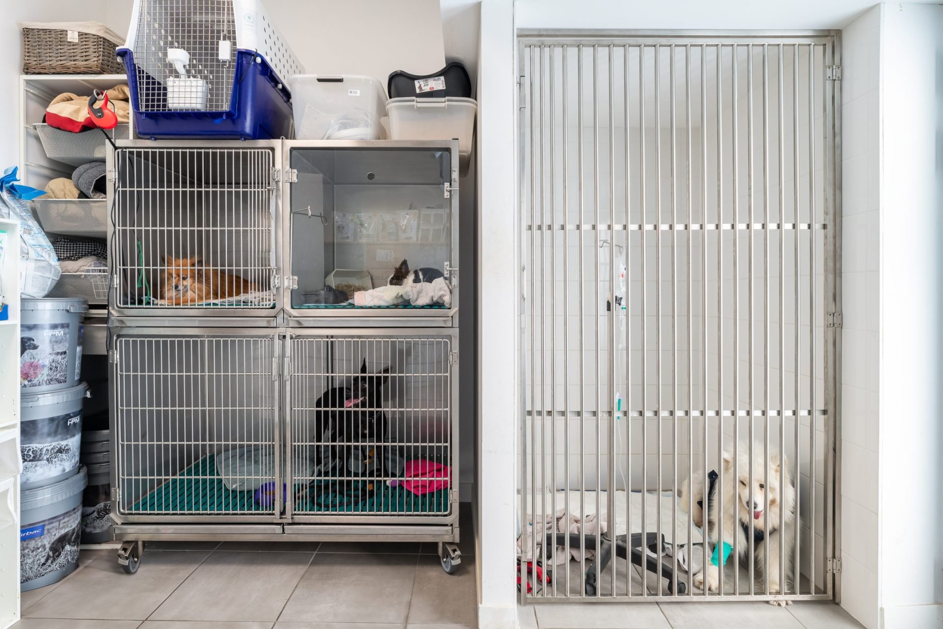 cliniqueveterinaireducrayon lyon 11