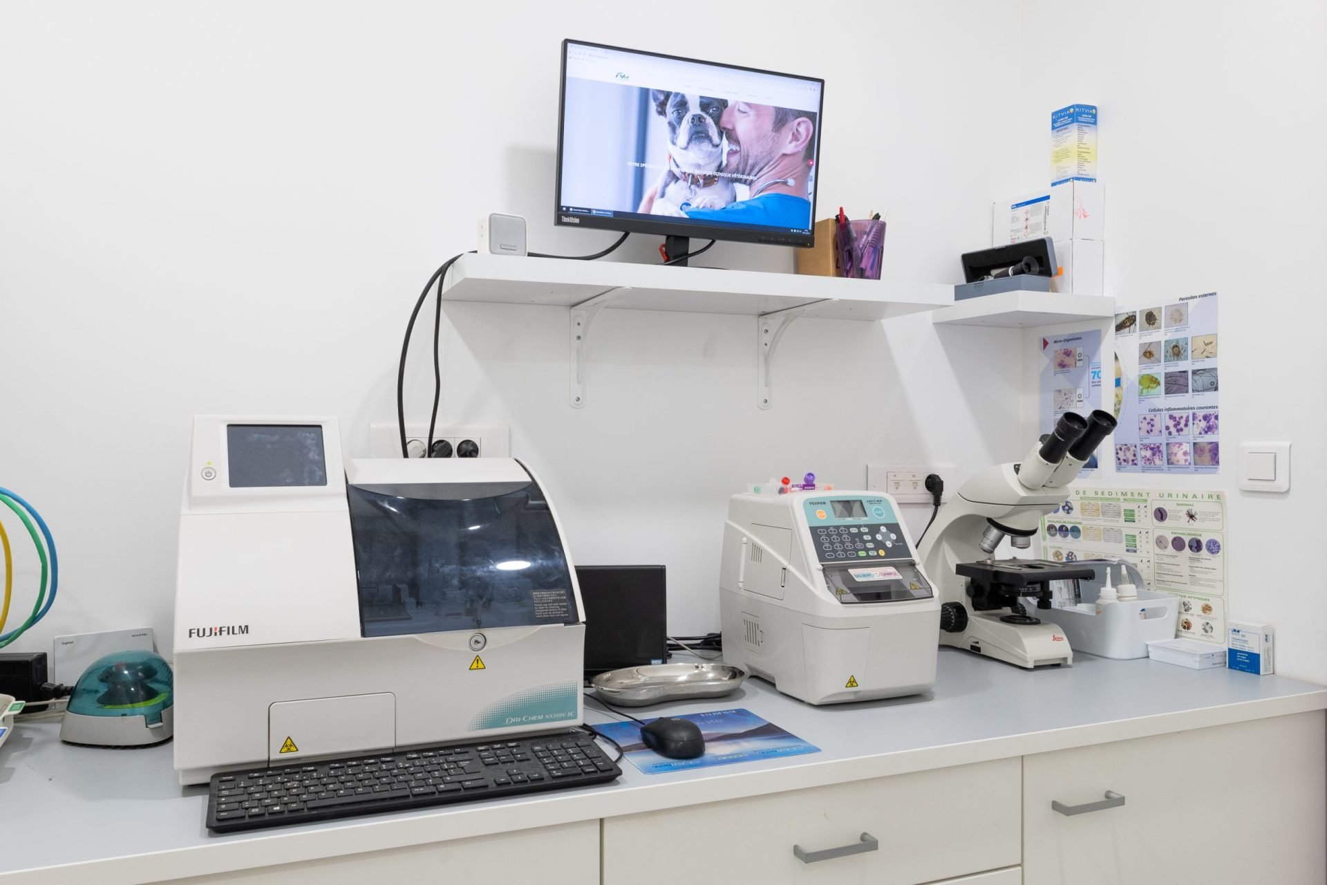 cliniqueveterinaireducrayon lyon 12