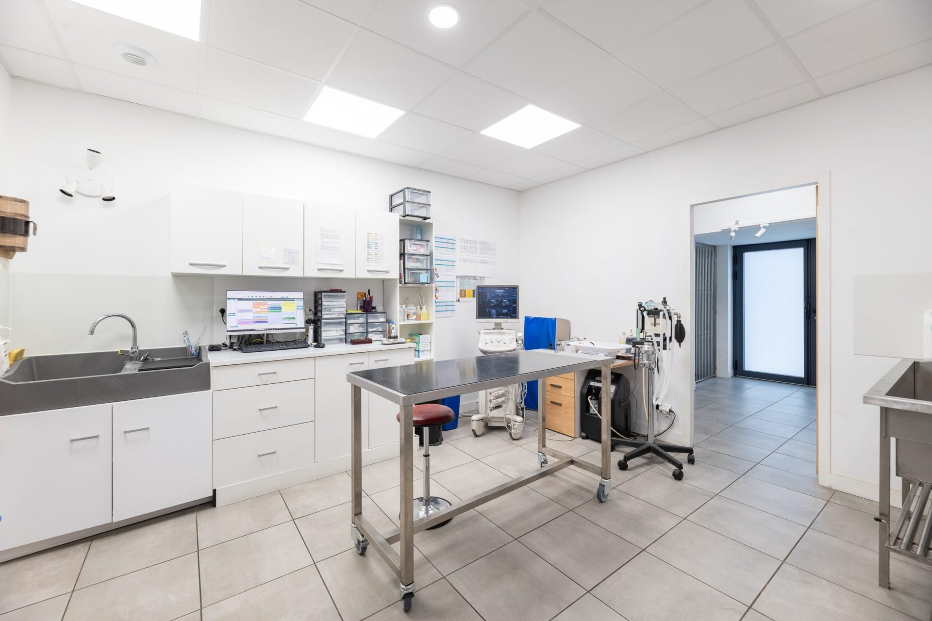 cliniqueveterinaireducrayon lyon 13