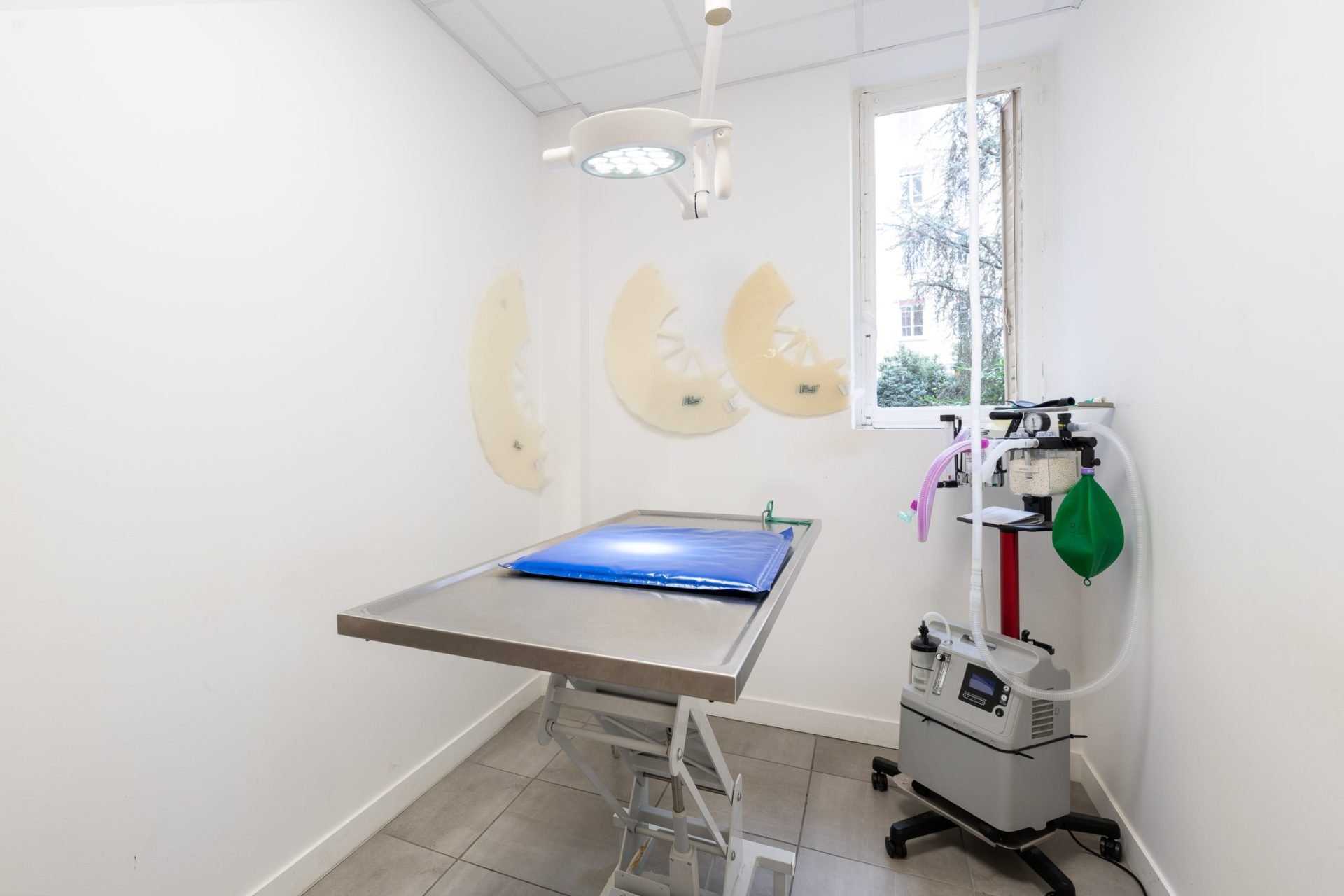 cliniqueveterinaireducrayon lyon 9