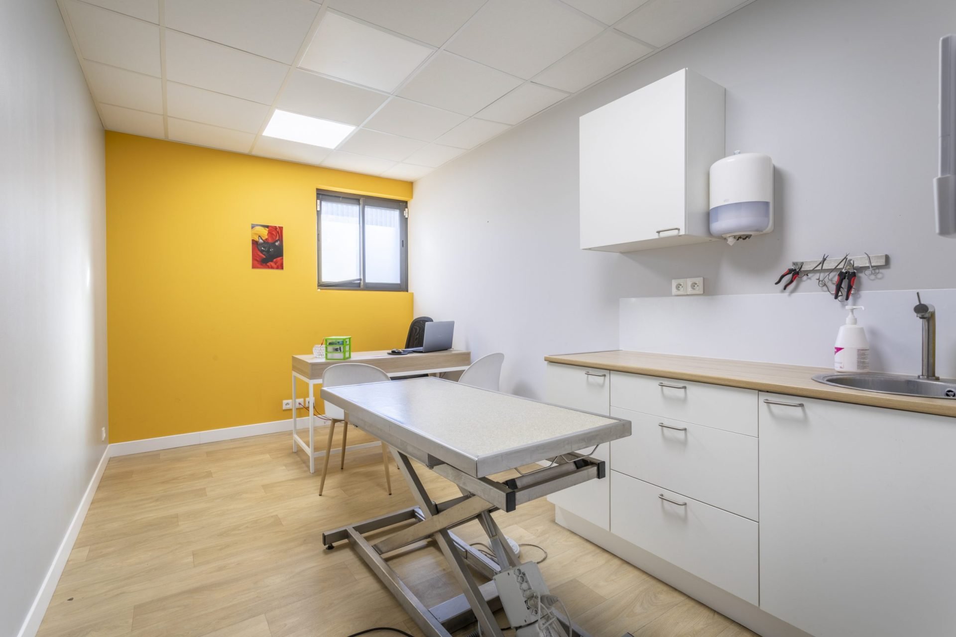 cliniqueveterinairedumistral istres 1