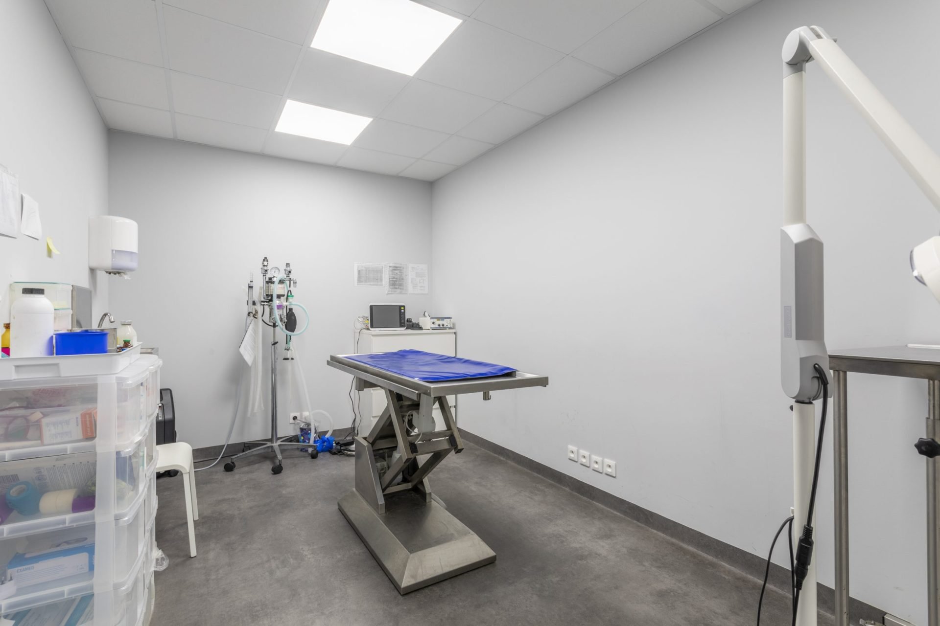 cliniqueveterinairedumistral istres 3