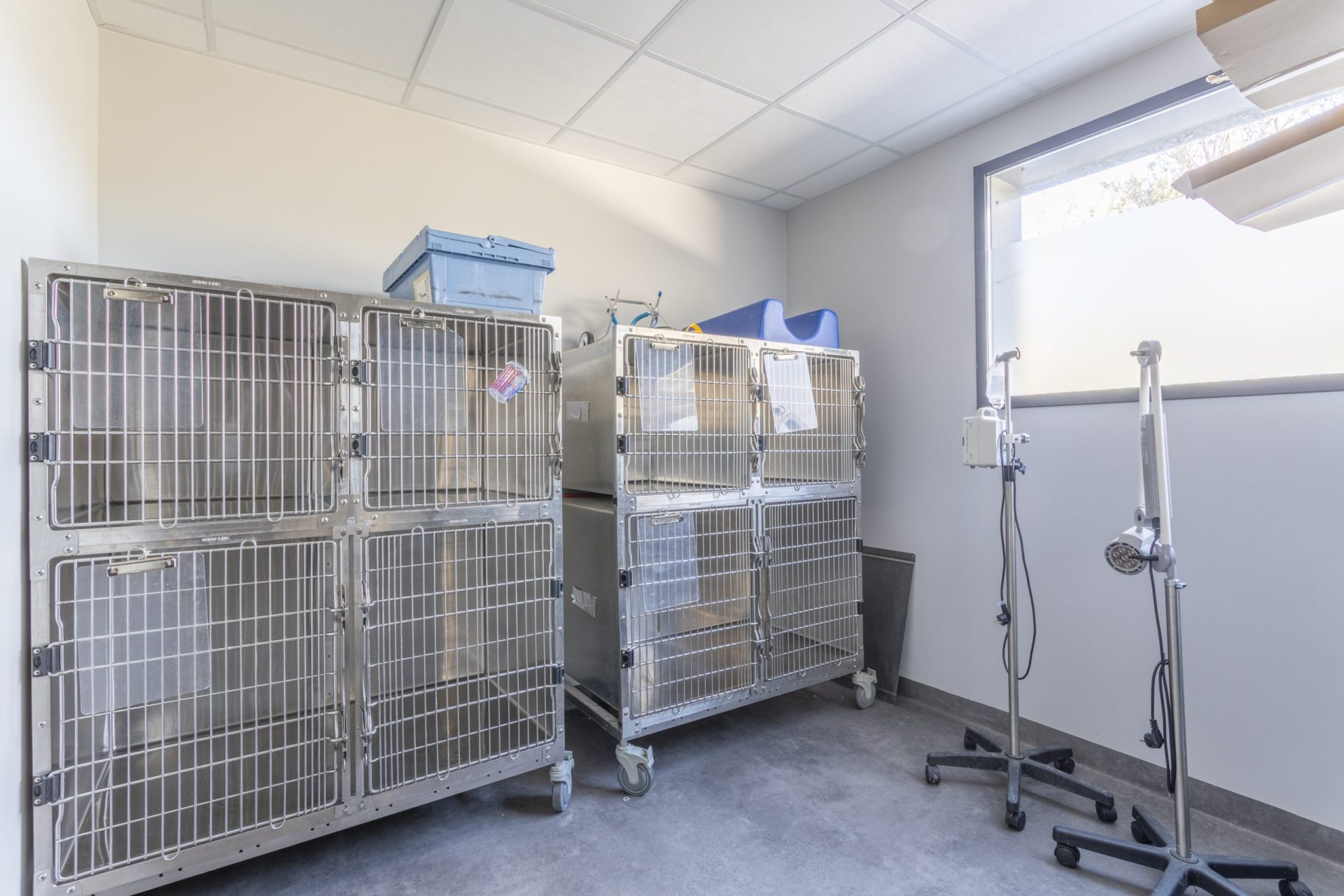 cliniqueveterinairedumistral istres 4