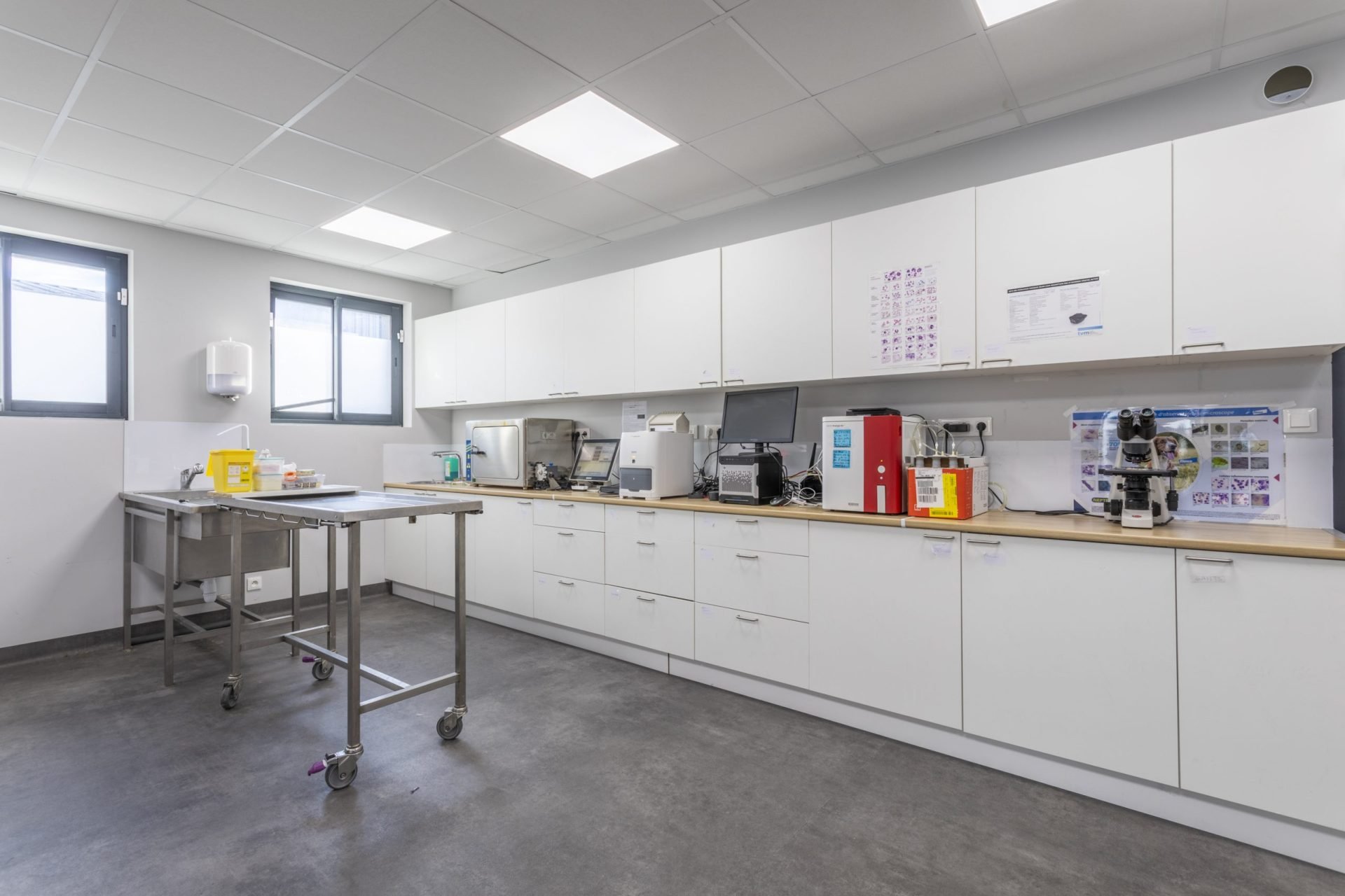 cliniqueveterinairedumistral istres 5