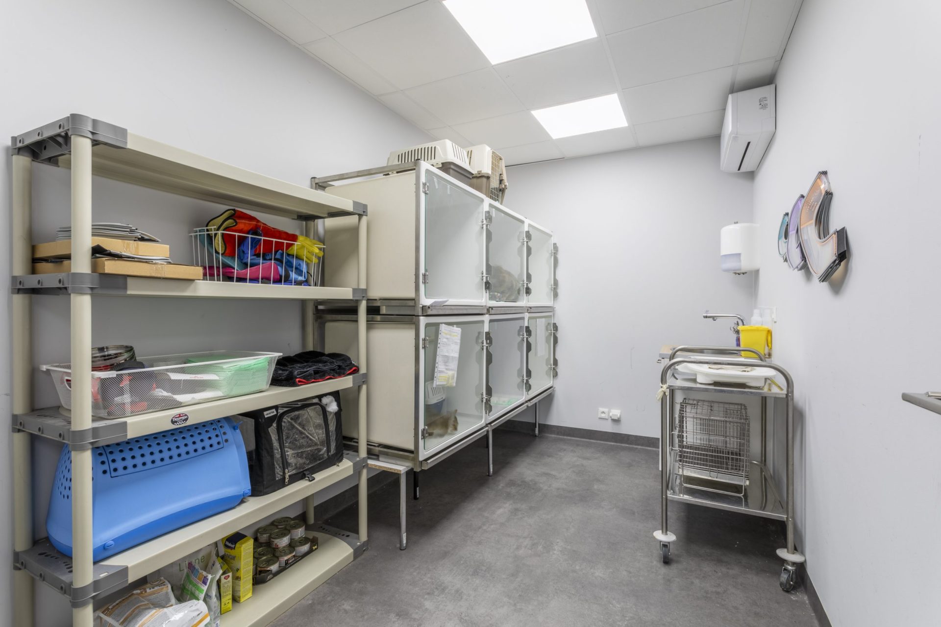 cliniqueveterinairedumistral istres 6