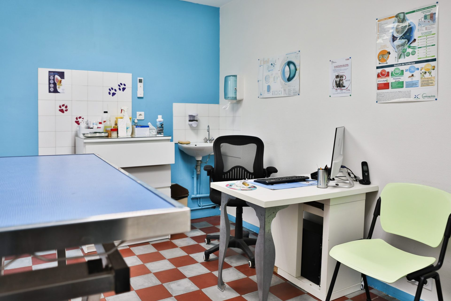 cliniqueveterinairedupayre talmontsaint hilaire 16