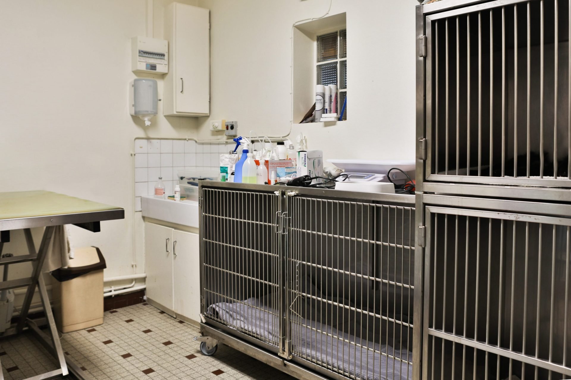 cliniqueveterinairedupayre talmontsaint hilaire 7