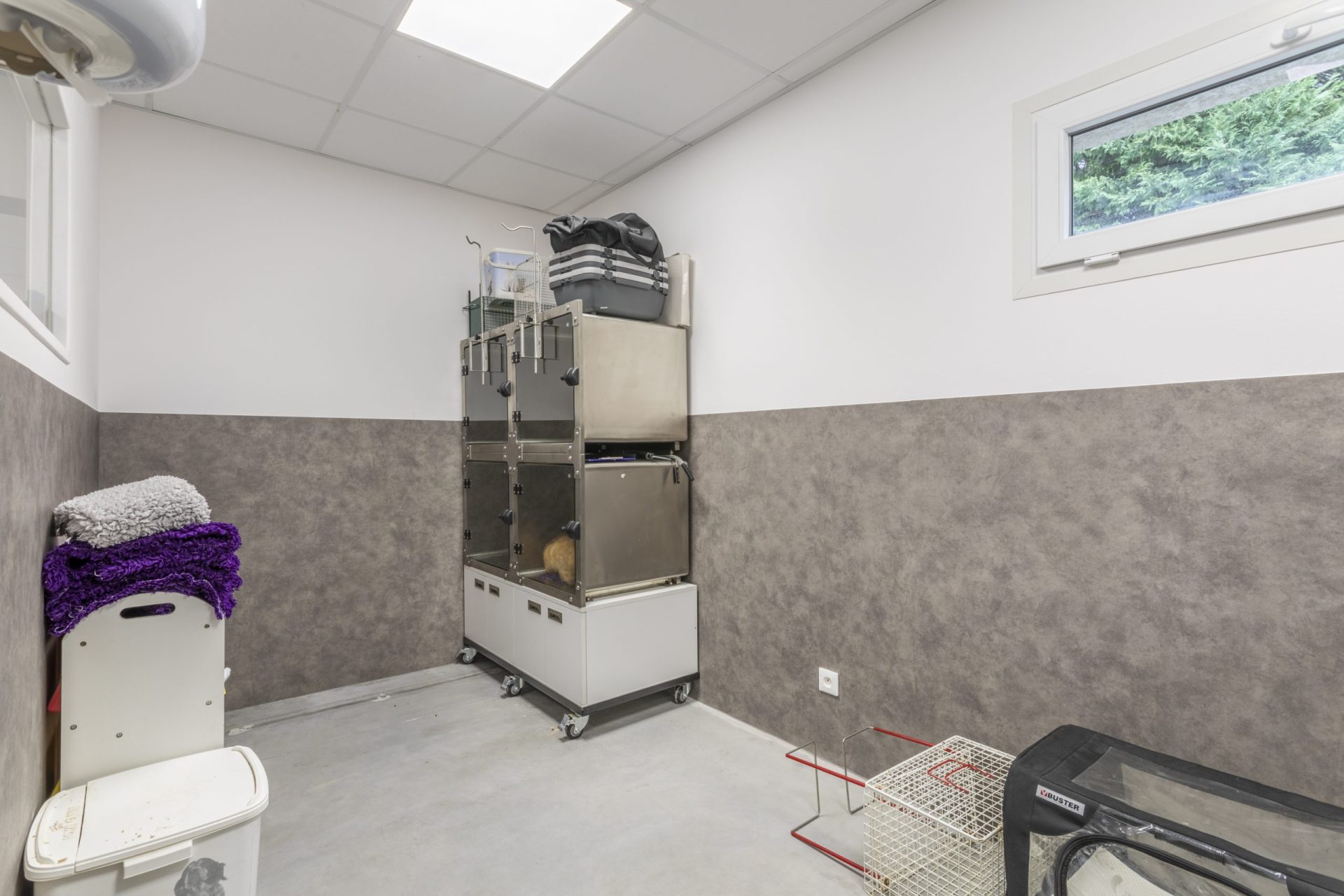 cliniqueveterinaireduroure mallemort 6