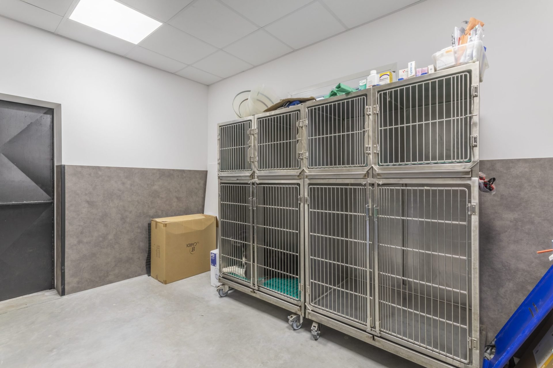 cliniqueveterinaireduroure mallemort 7