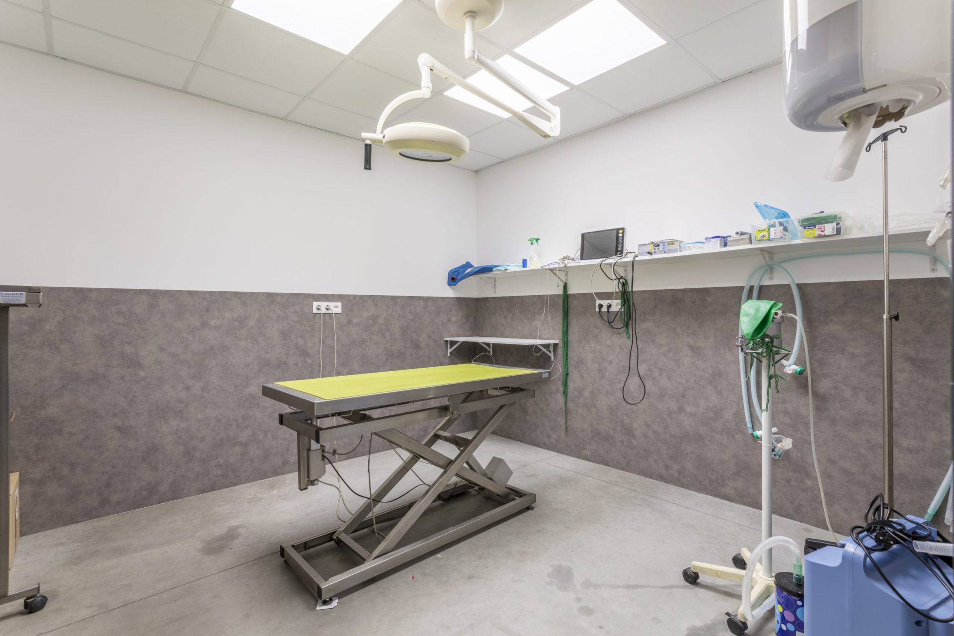 cliniqueveterinaireduroure mallemort 9