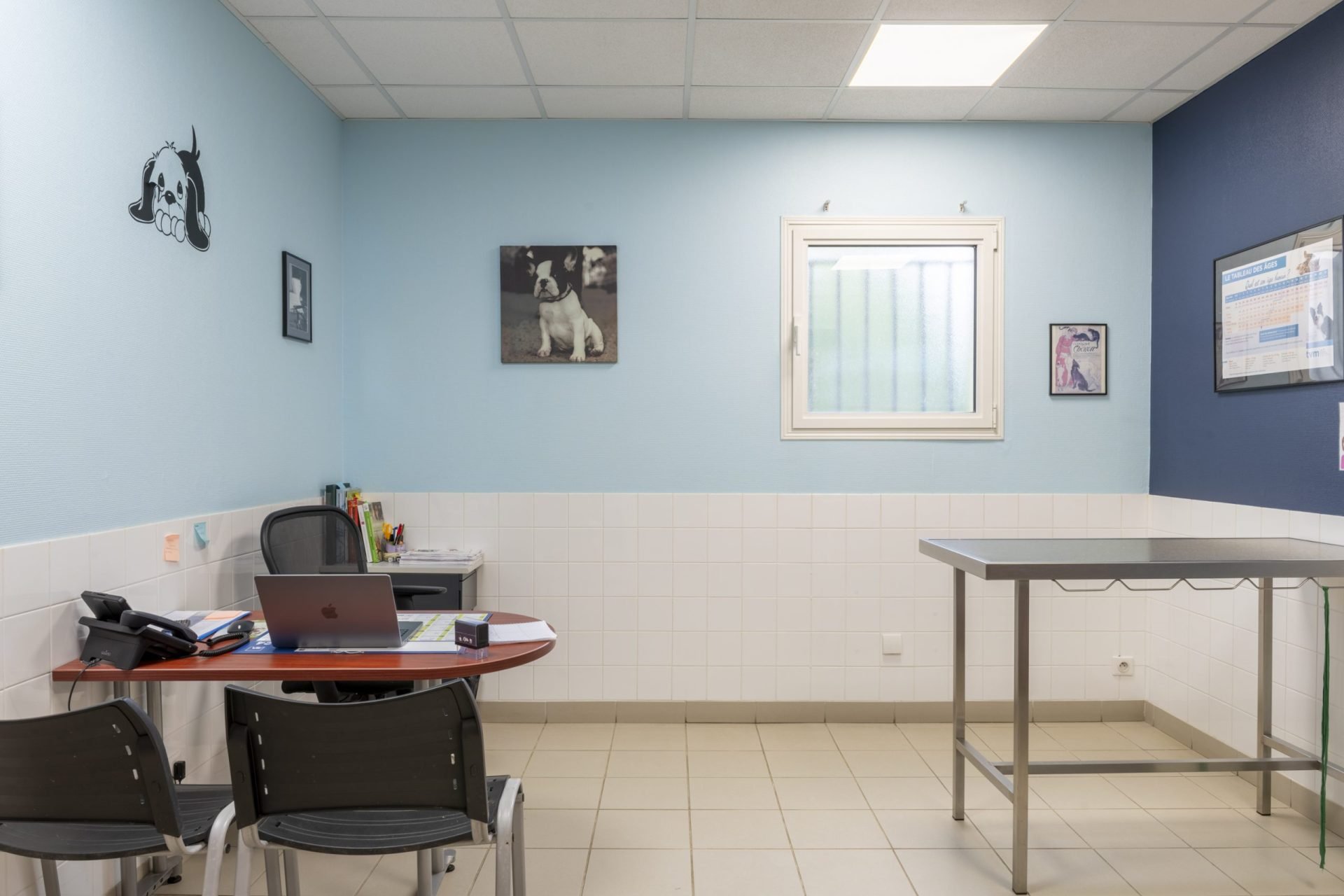 cliniqueveterinaireduviaduc poixdepicardie 22