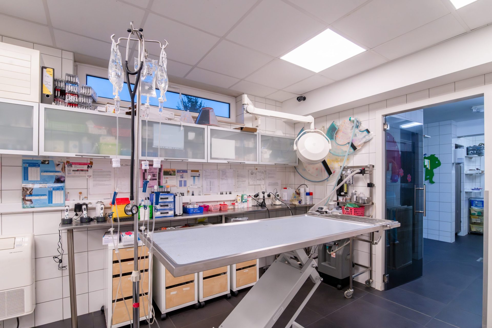 cliniqueveterinairegambetta braine le chateau 20