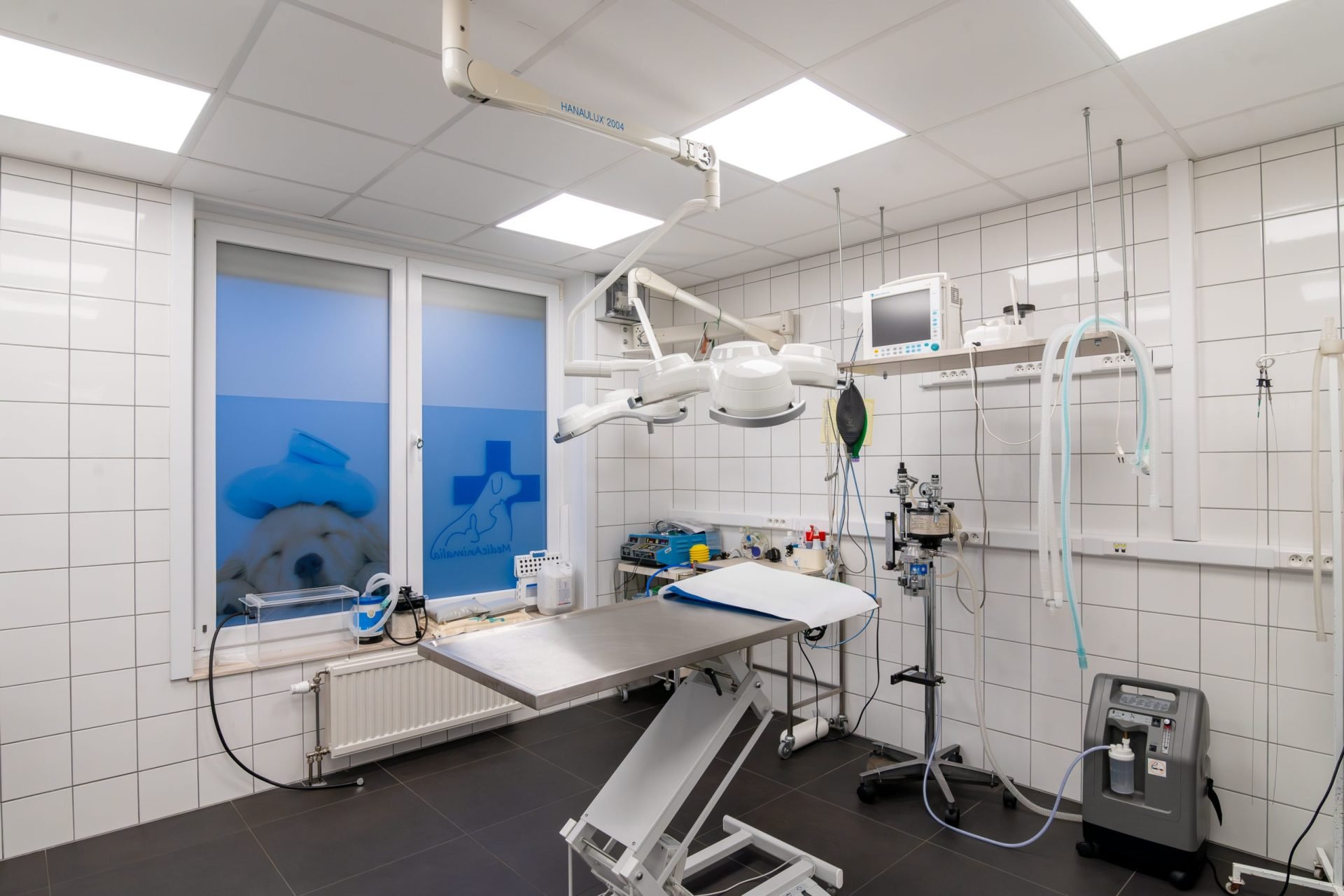 cliniqueveterinairegambetta braine le chateau 21