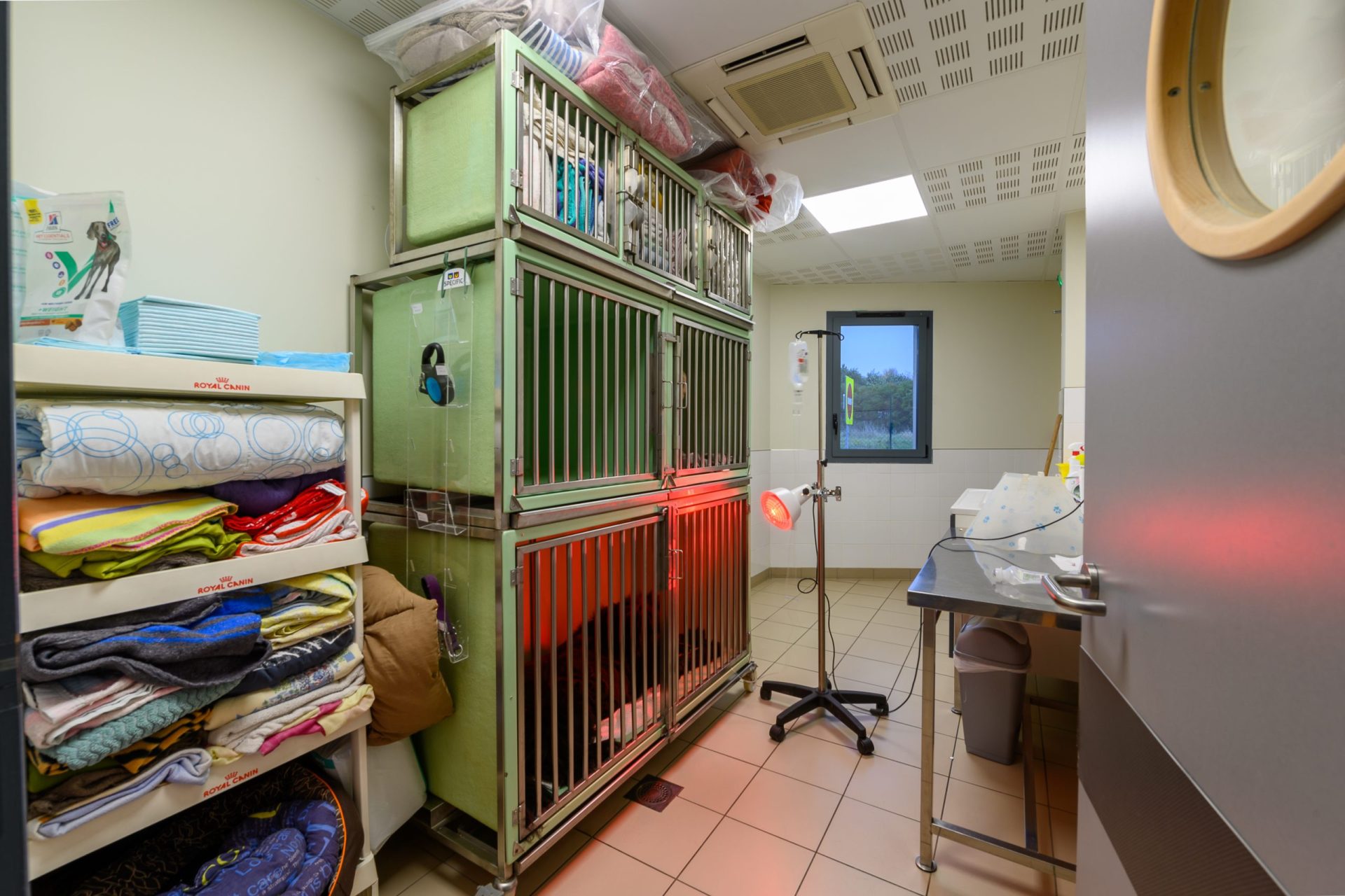 cliniqueveterinairerozayenbrie rozayenbrie 15